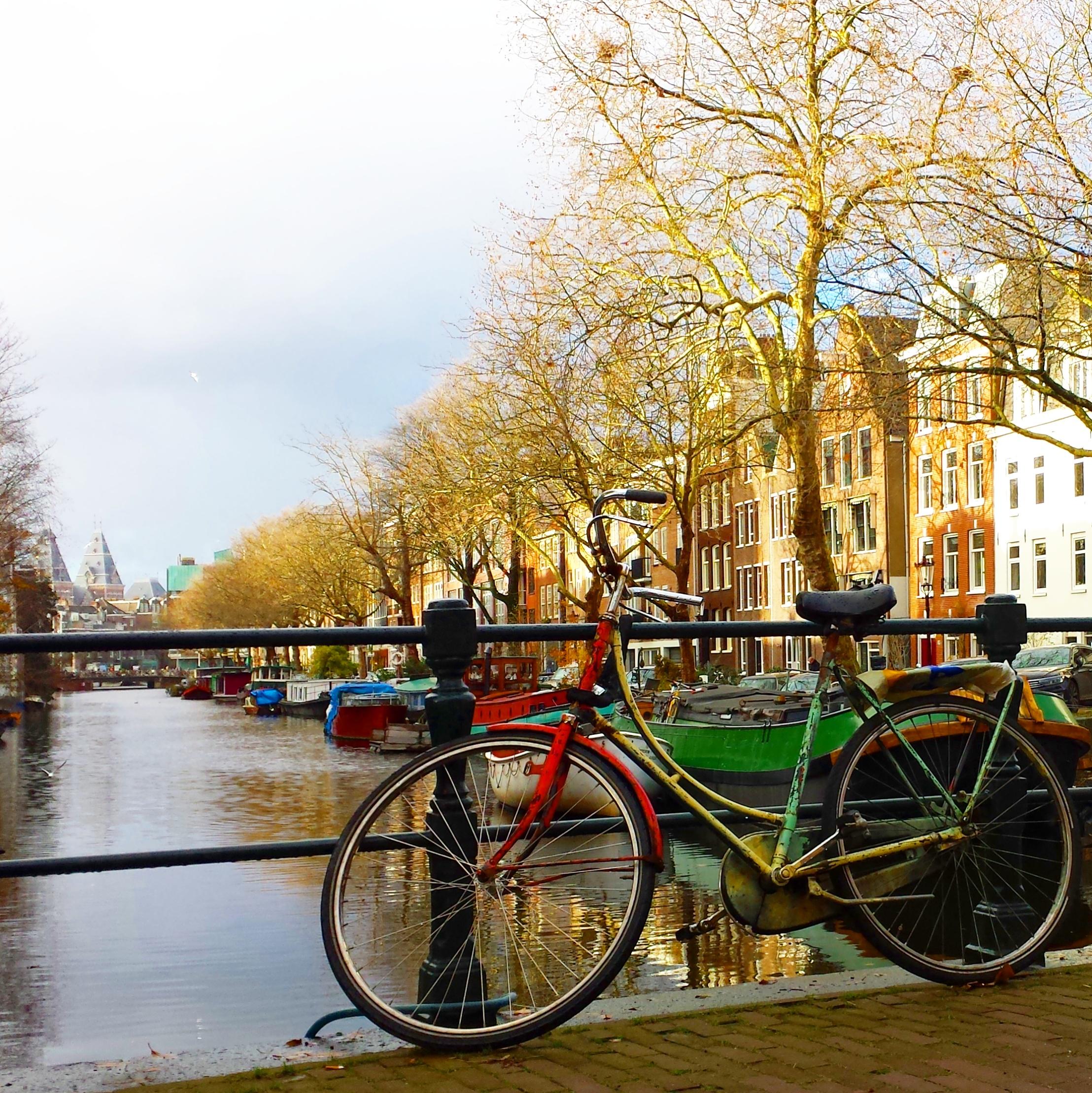 Amsterdam ist auch in der kalten Jahreszeit schööön 
#reisen #reise #amsterdam #fahrrad #winter
