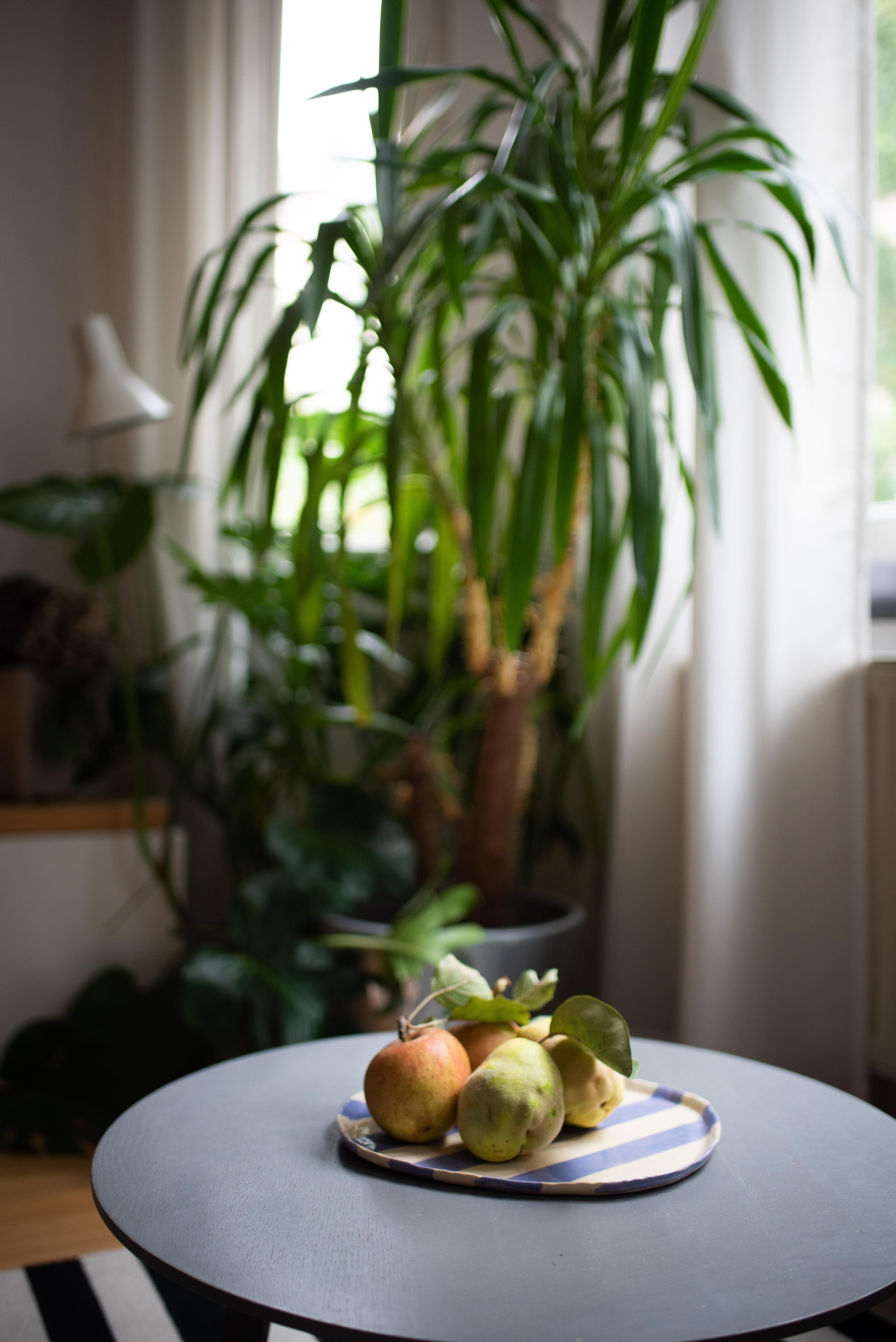 An Apple a day! #urbanjungle #keramik #wohnzimmer #autumn #pflanzen #interior 