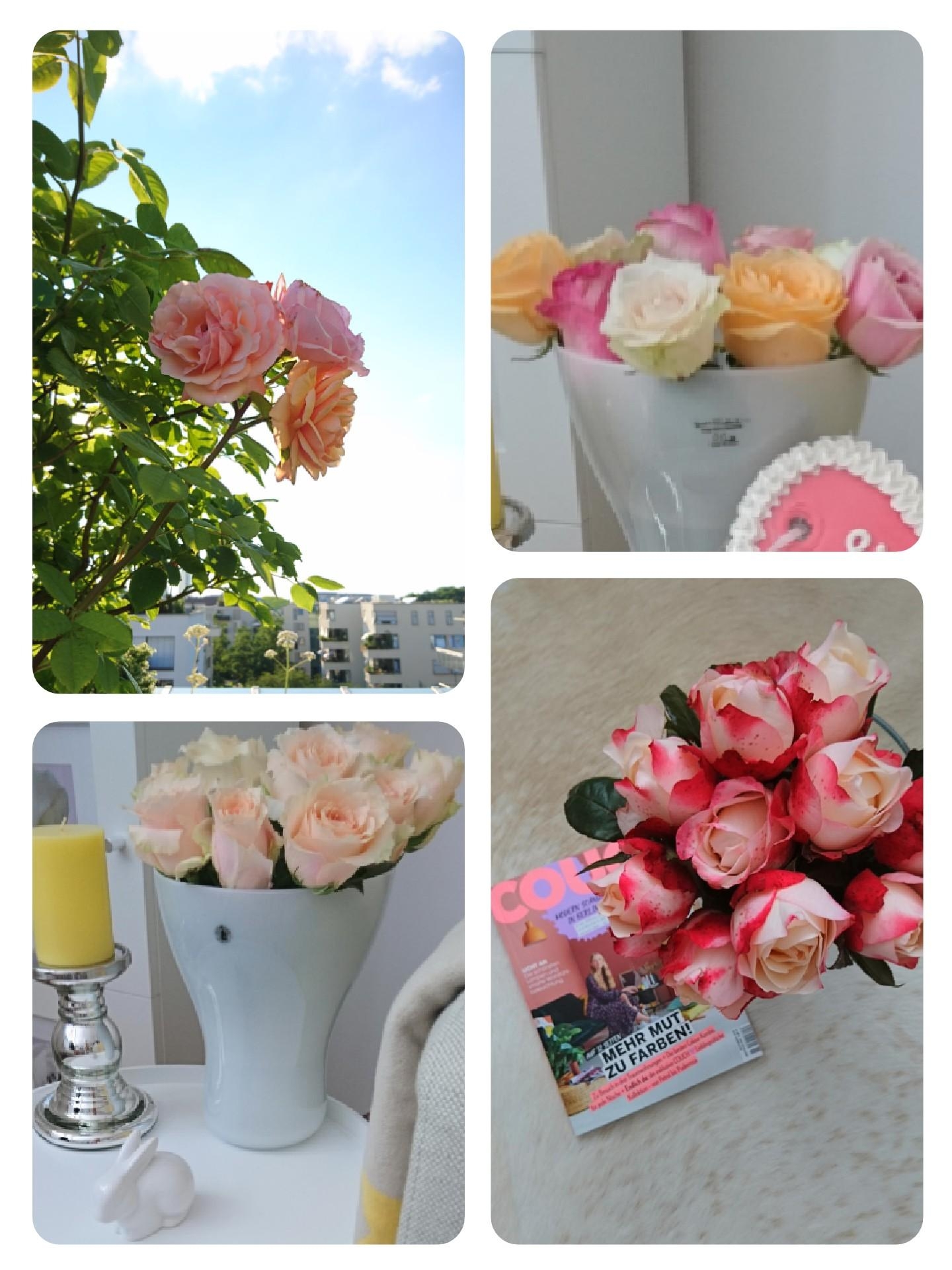 An duftenden Freilandrosen in rosé komm ich nicht vorbei ❤️ Und Du @Ute71? Hast Du auch eine #Lieblingsblume? 