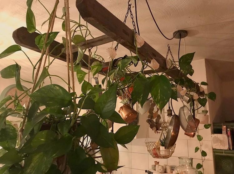 An einer alten Leiter hängen unsere Küchenutensilien, Pflanzen und Vintageleuchten #DIYWeek #upcycling