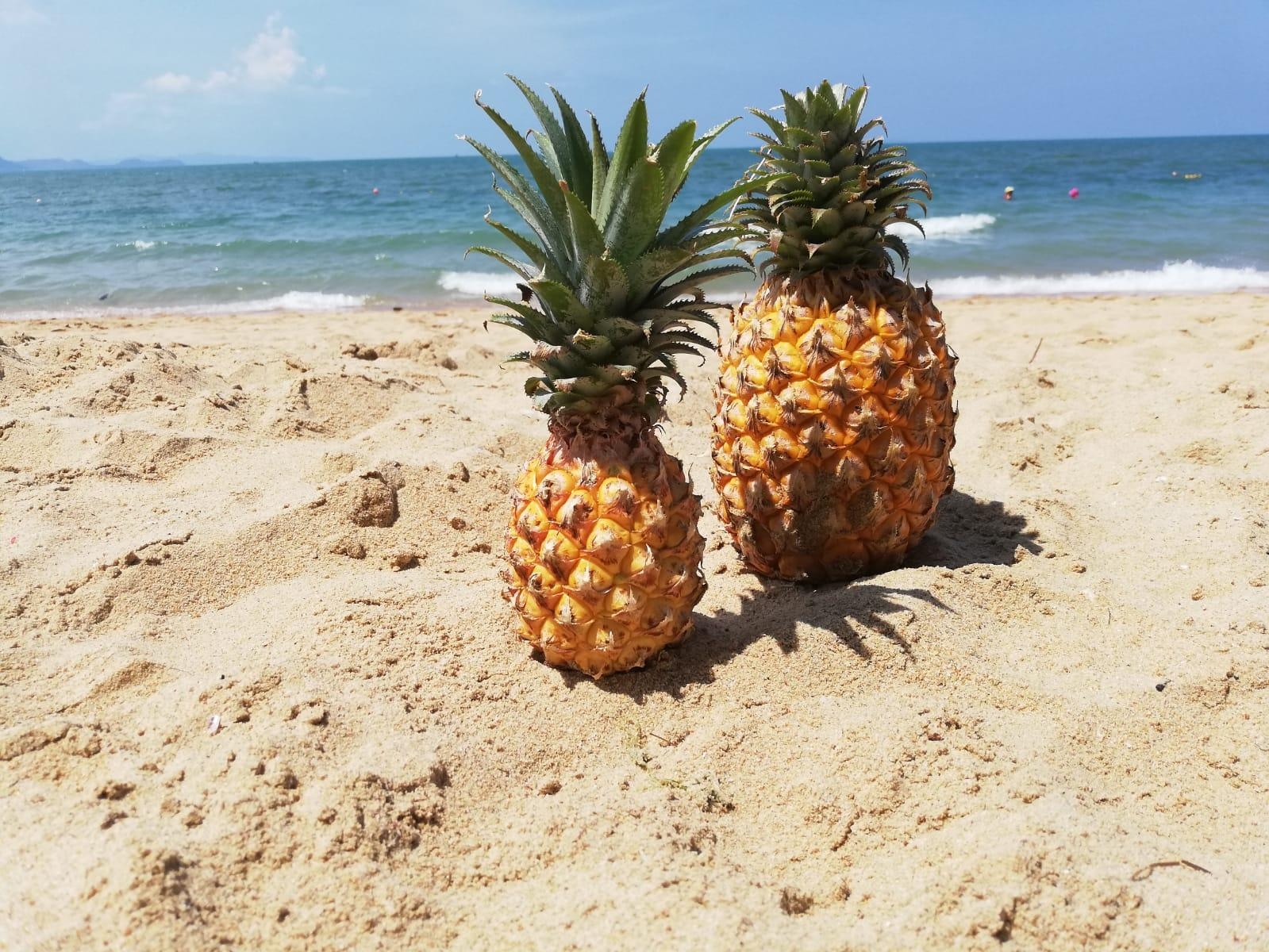 Ananas am Strand, zum mitnehmen