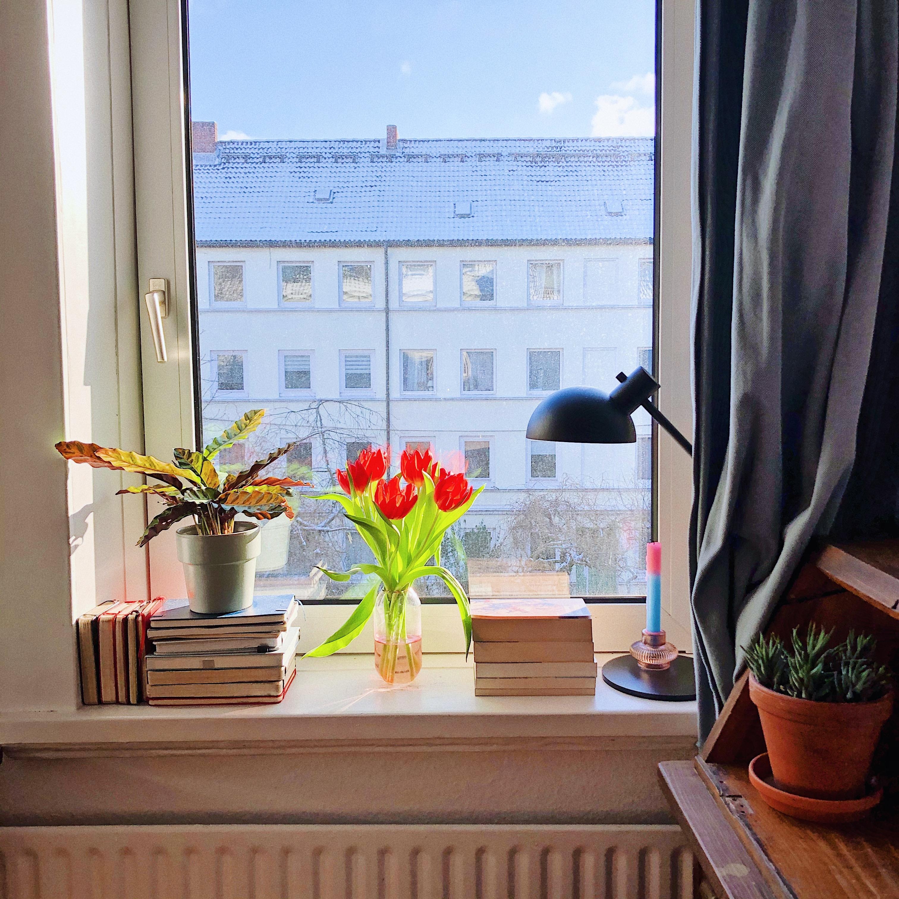 Apartment with a view... Kurzes Durchatmen vom Weltwahnsinn. 
#Bücher #Fensterbank #Blumen