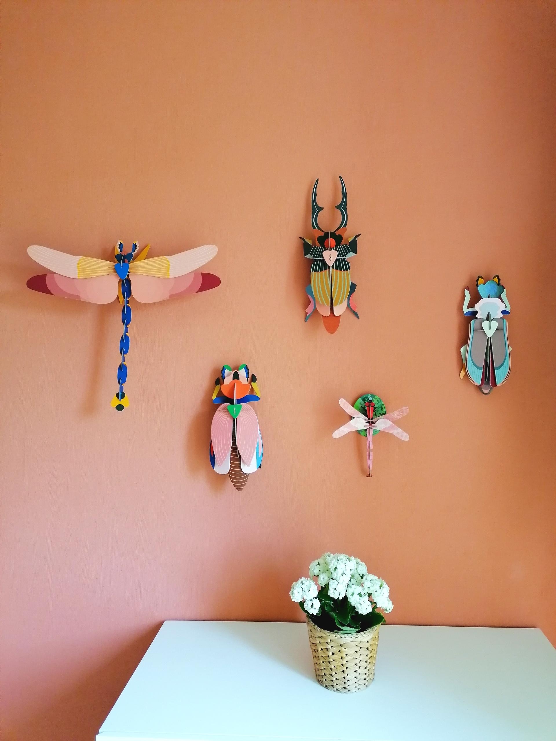 Artenvielfalt im Kinderzimmer
#kidsroom#kinderzimmer#bunt#cokours#colourful#wanddekoration#walldecor