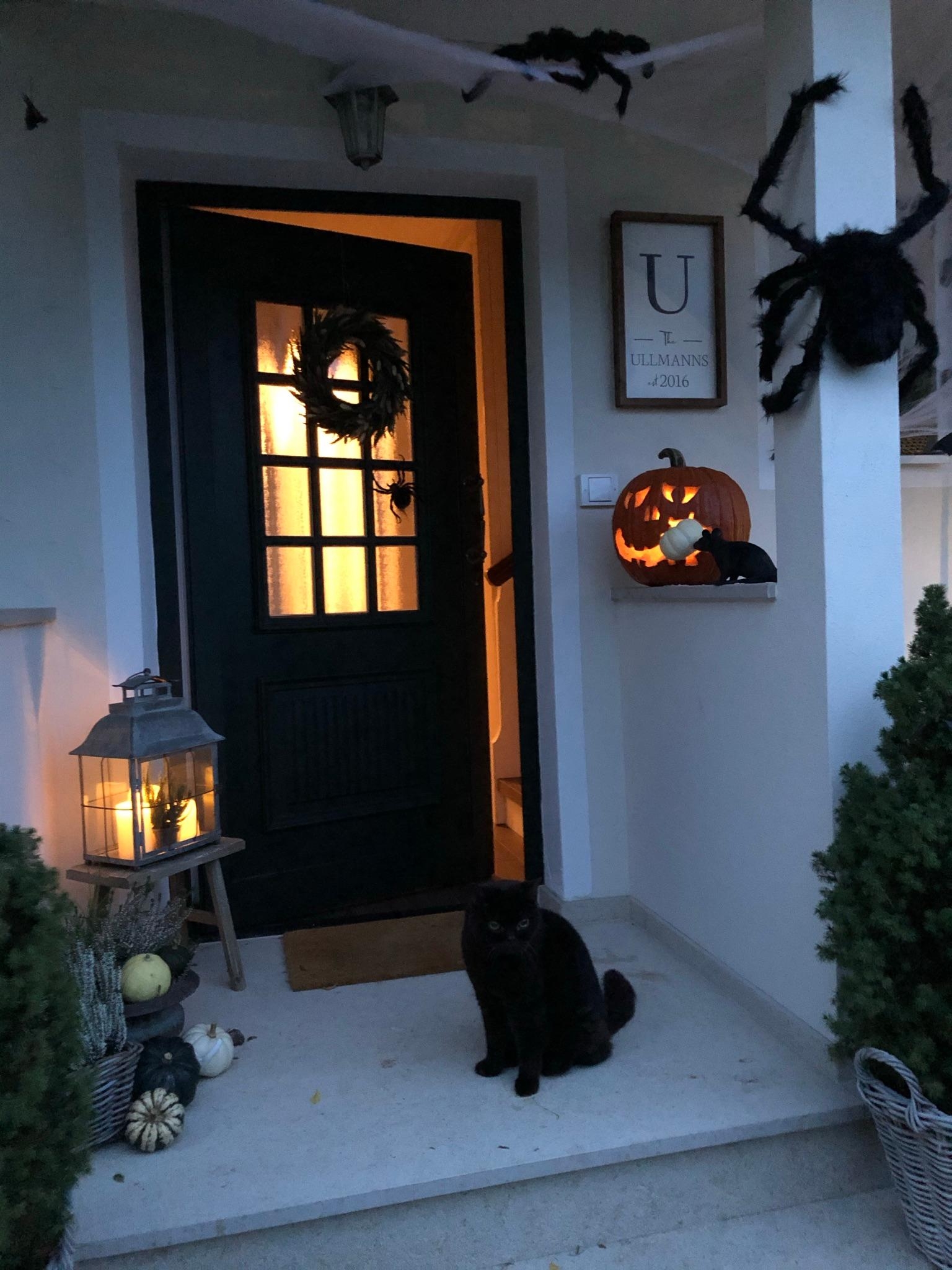 Auch der KatzenOpa hat sich perfekt in HalloweenSzene gesetzt! #halloween #kürbisdeko #halloweendeko #herbstdeko