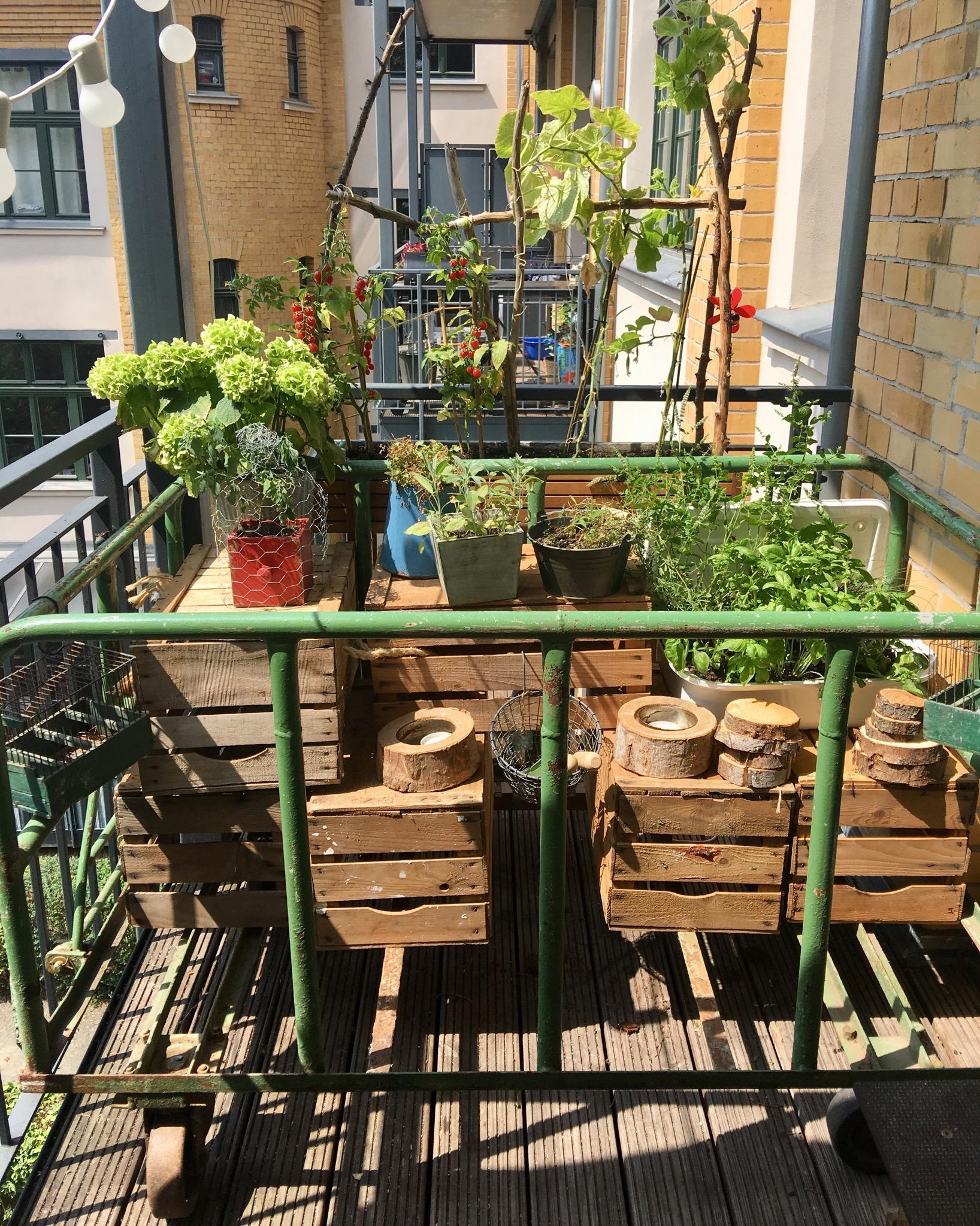 Auch ein Balkon kann sich wie ein Garten anfühlen🌱🌿
#urban#gardening#grün#pflanzen#industrial#obstkisten#transportwagen