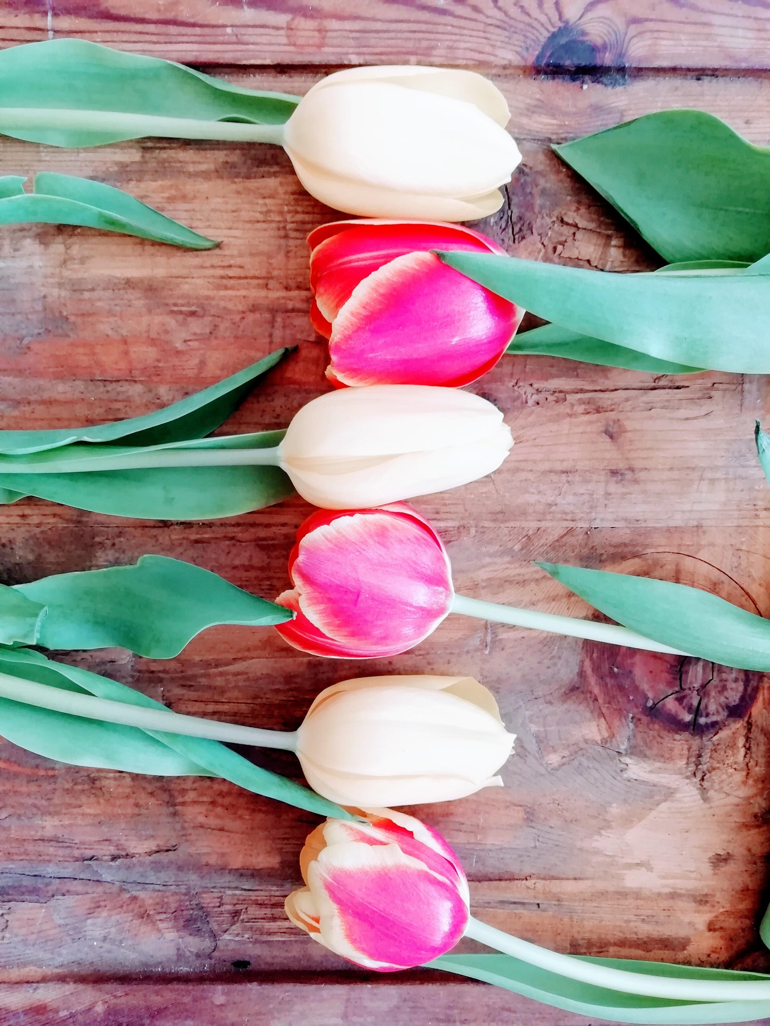 Auch ohne Vase ein Hingucker
#freshflowerfriday #Blumenliebe #Tulpen