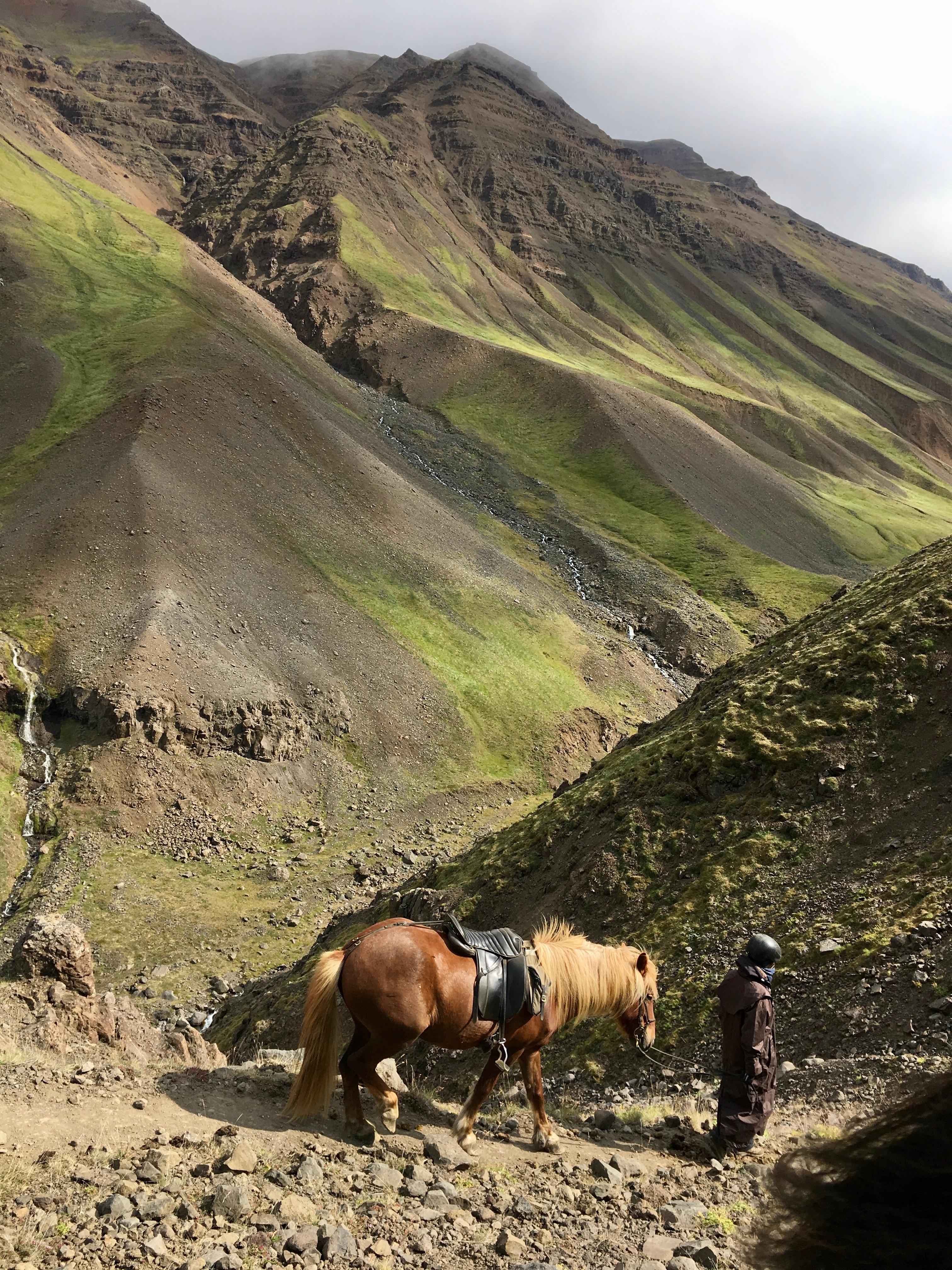 auf dem pferde 🐎 rücken durch Island 🇮🇸 😍
#travelchallange #meinschönsterurlaub