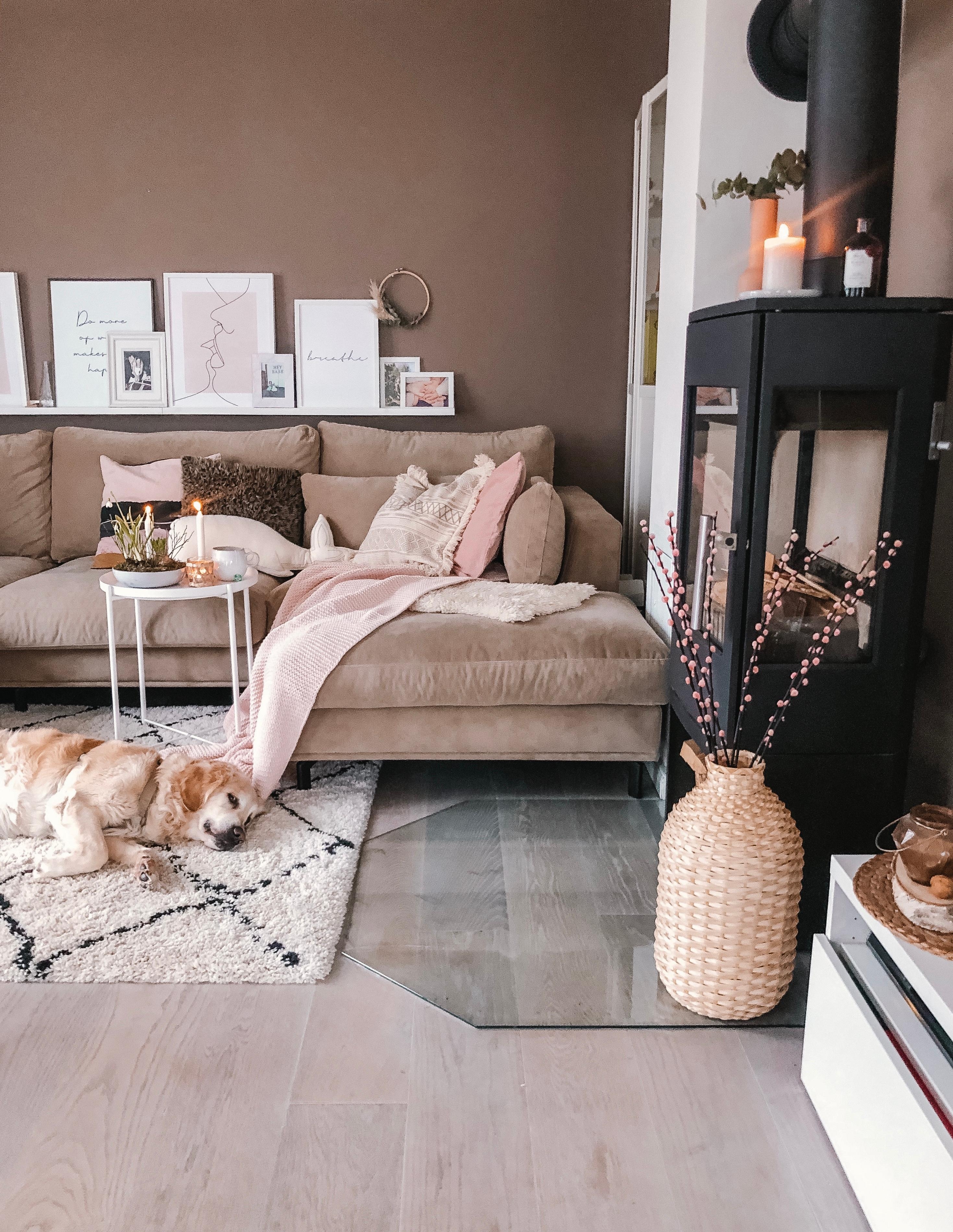 Auf und ins Wochenende und schnell noch zum Hund kuscheln 💕 #livingroom #kaminofen #wandfarbe #couch
