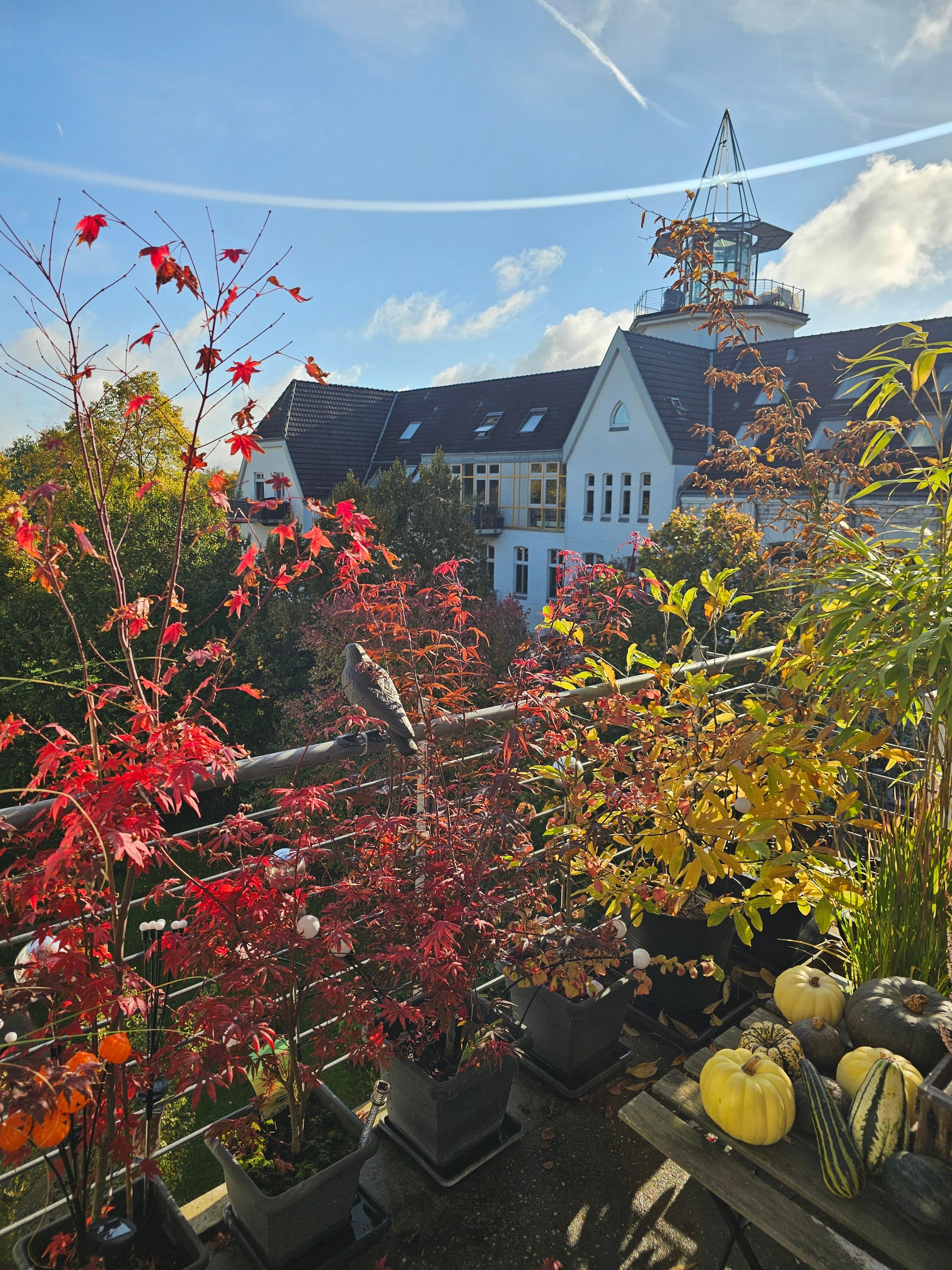 Ausblick 
Herbstsonne 