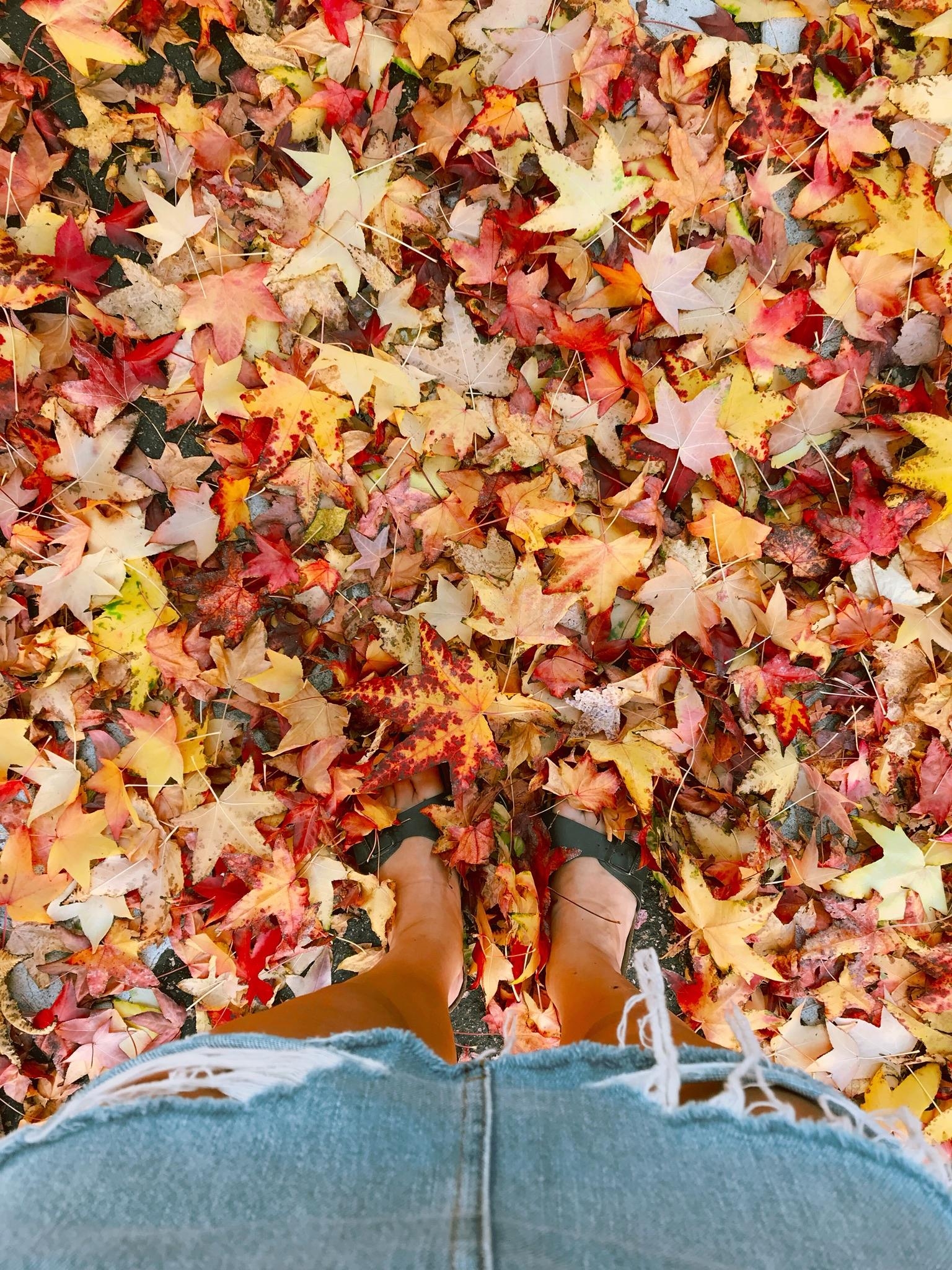 autumn sandals. #herbst #leaves #summervibes in #october #goldenerherbst @birkenstock