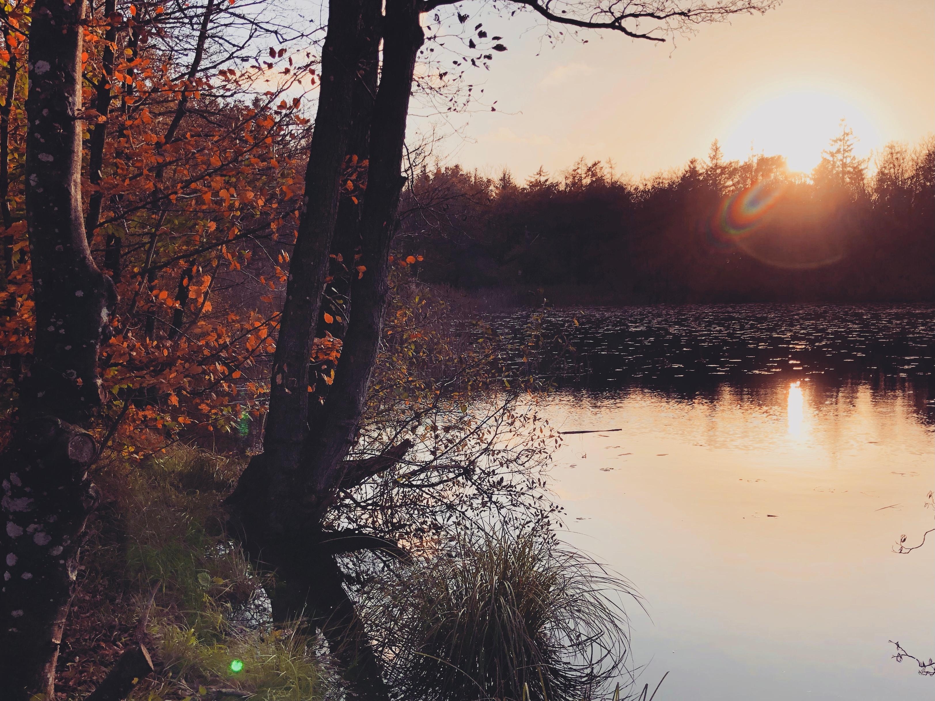 Autumn sunset.
#nature #tranquility #breathinbreathout