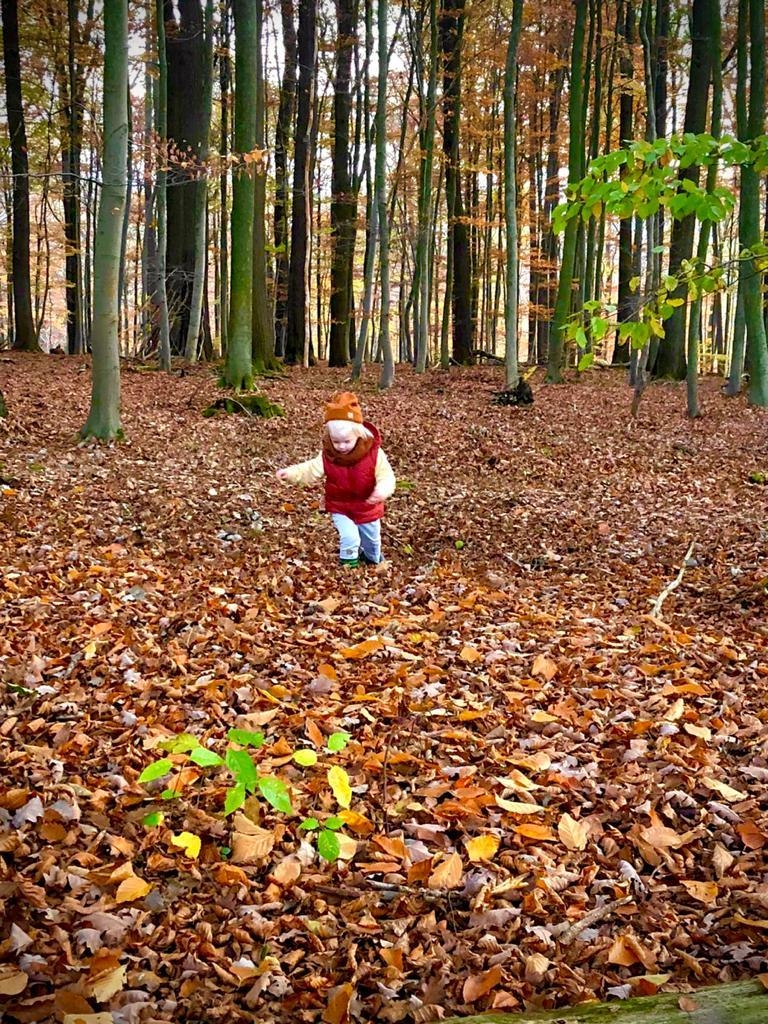 #Autumnvibes #Wald