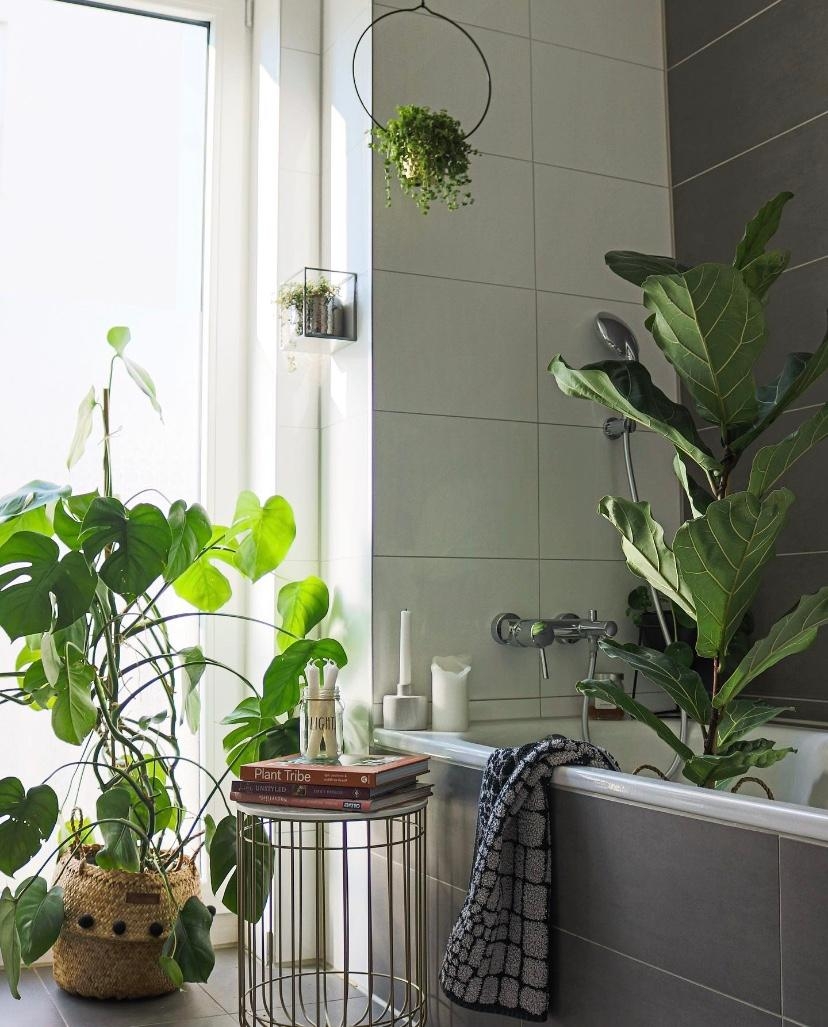Badezimmer vibe! #badezimmer #badezimmerdeko #pflanzen #urbanjungle #greenery #deko #interior #pflanzenliebe #plantlover