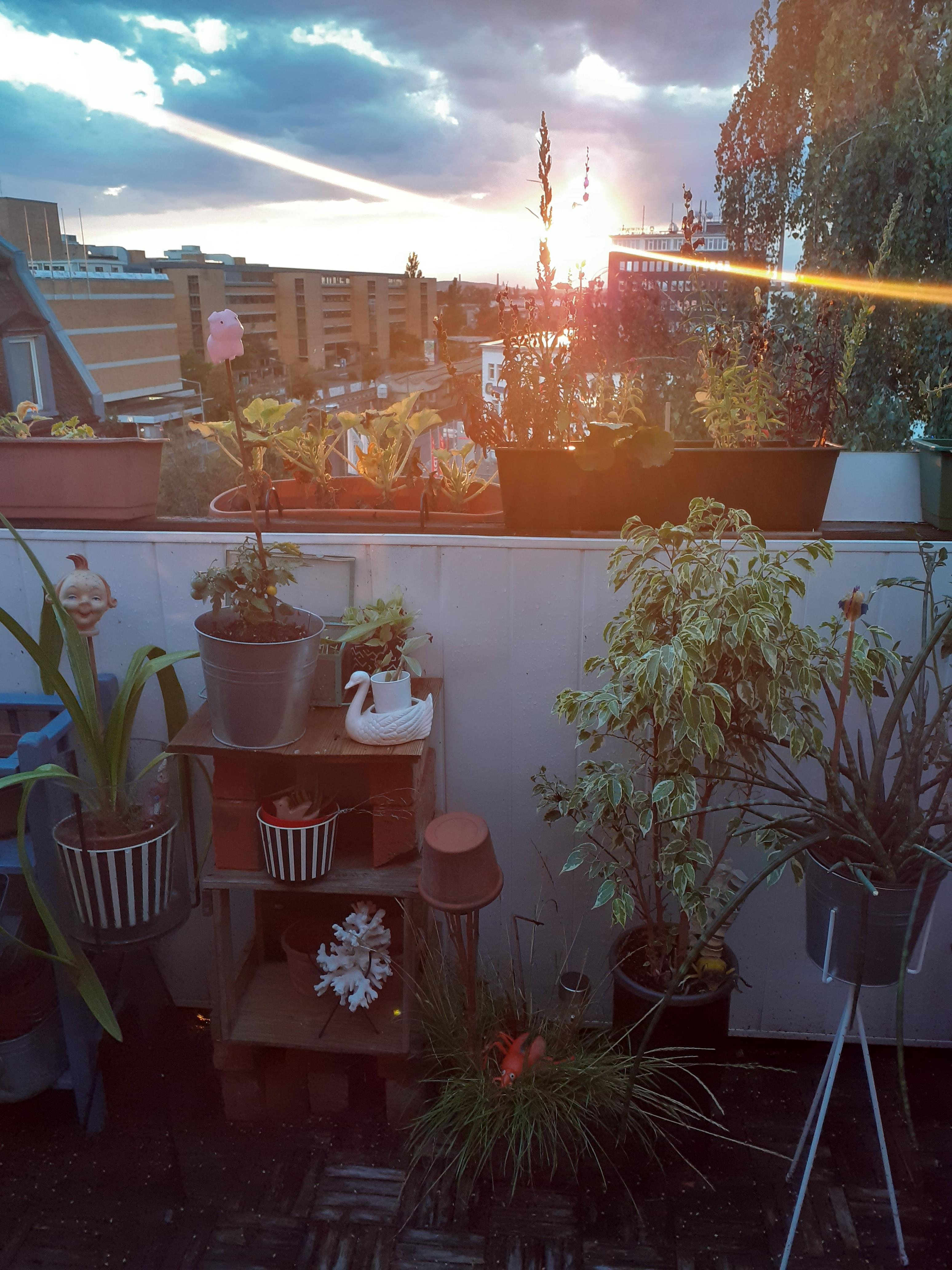 Balkon- Sonnenuntergang  nach Gewitter