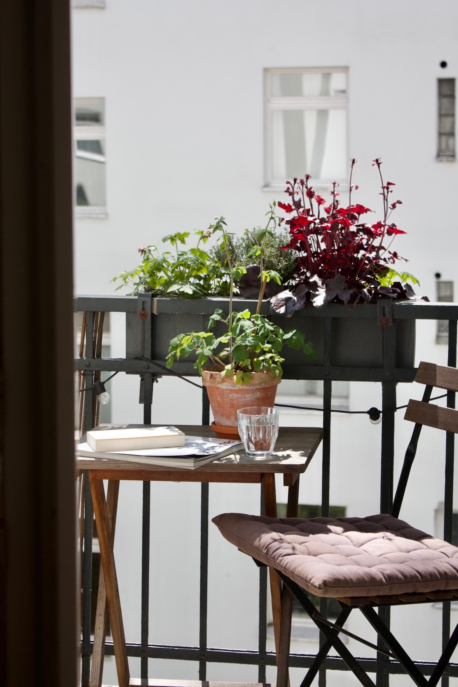 #balkon #sonne #blumen #stadt #grüneoase #altbau 