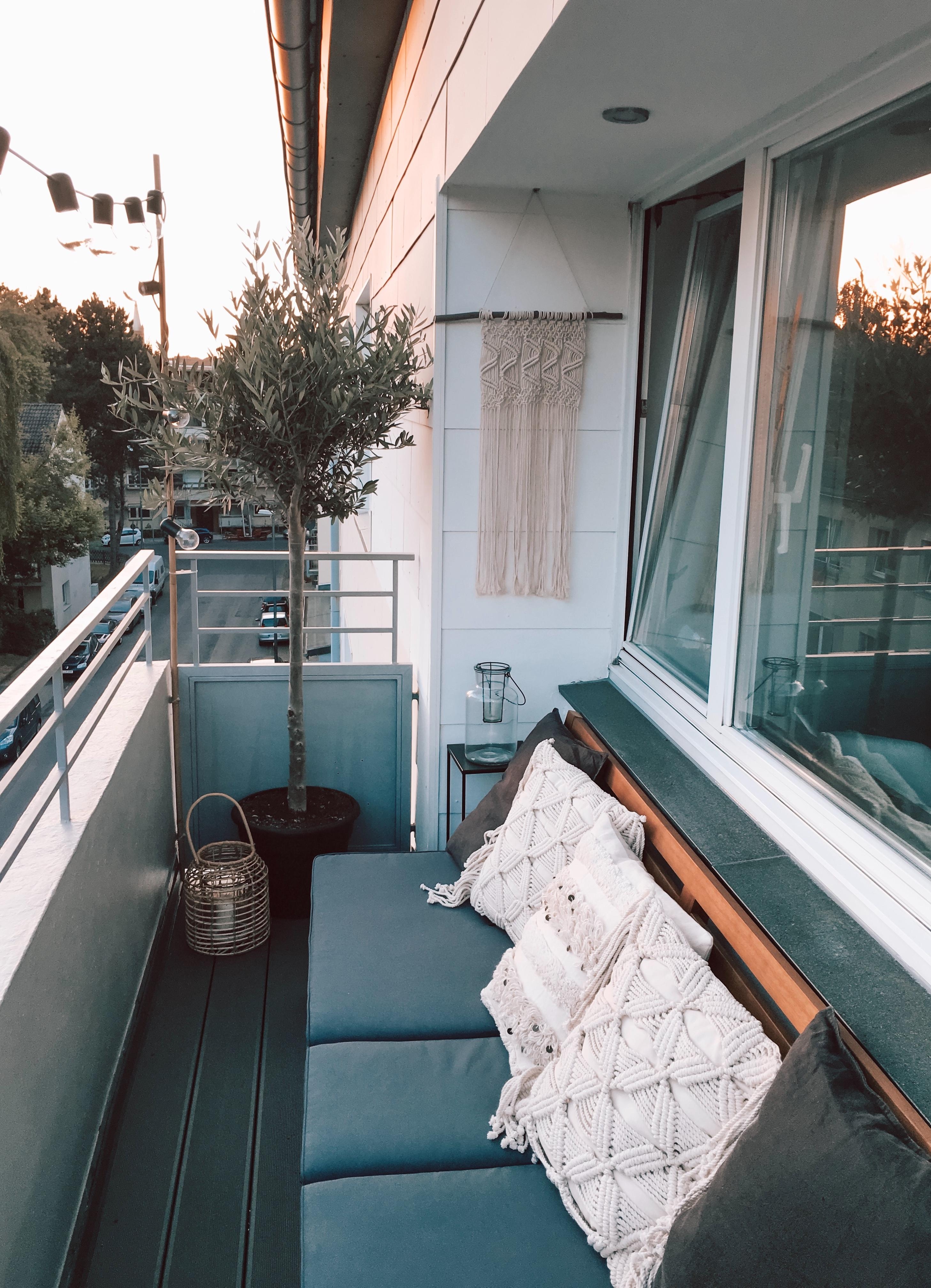 Balkon #summermissing #balcony #bohovibes #olivetree #olivenbaum #makramee 