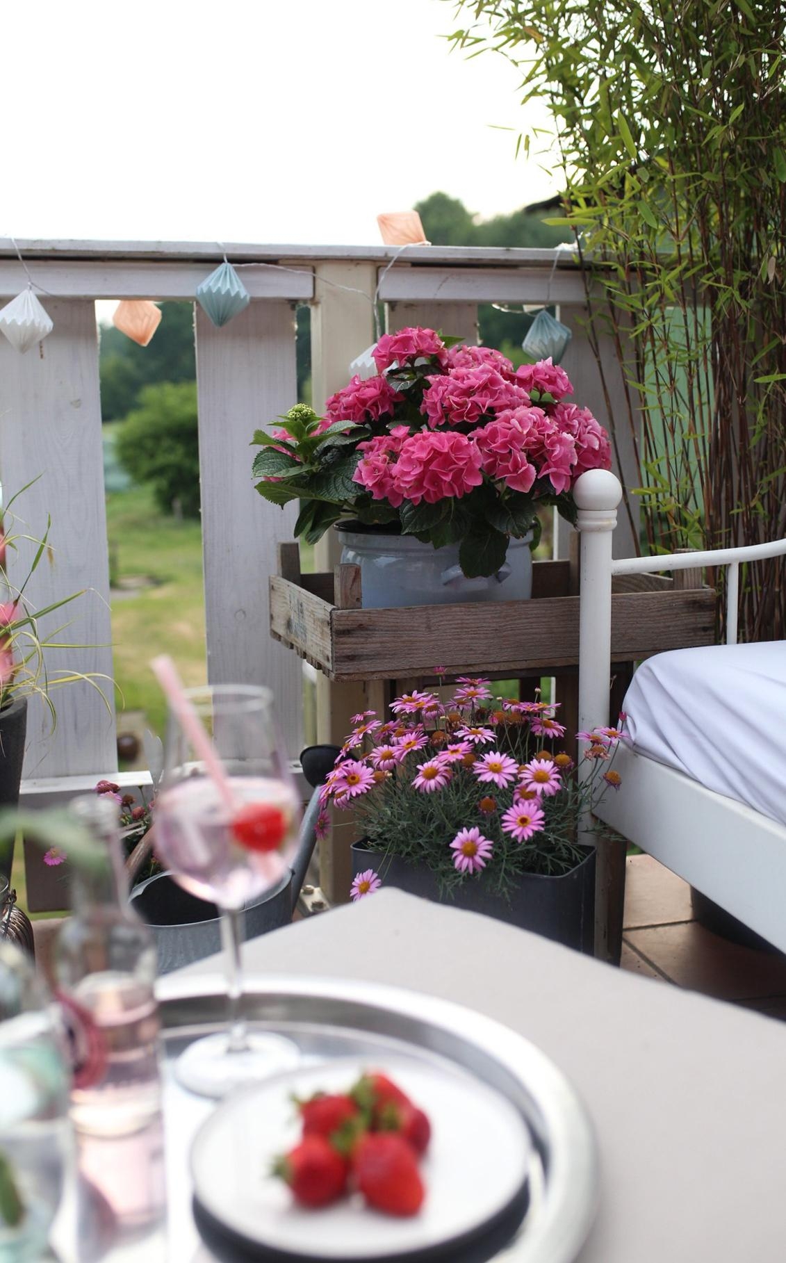 Balkonien du wunderschöner Ort ! Die pink farbende Hortensie macht es noch schöner #hortensienwoche #balkon #cheers