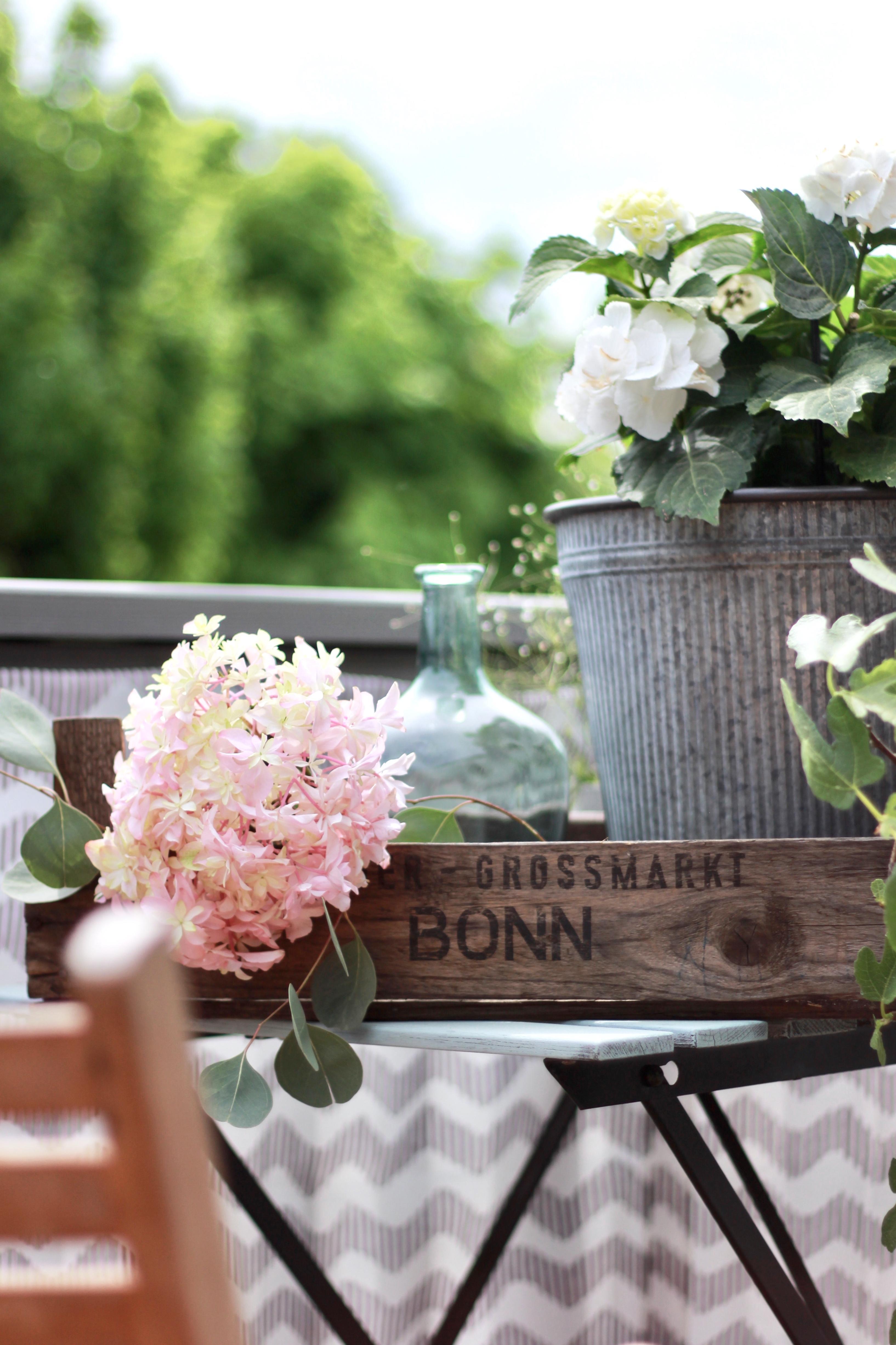 BALKONIEN
#living #outdoor #balkon #frühling #hortensien #vintage #shabby #romantic #blumen #grün #garten 