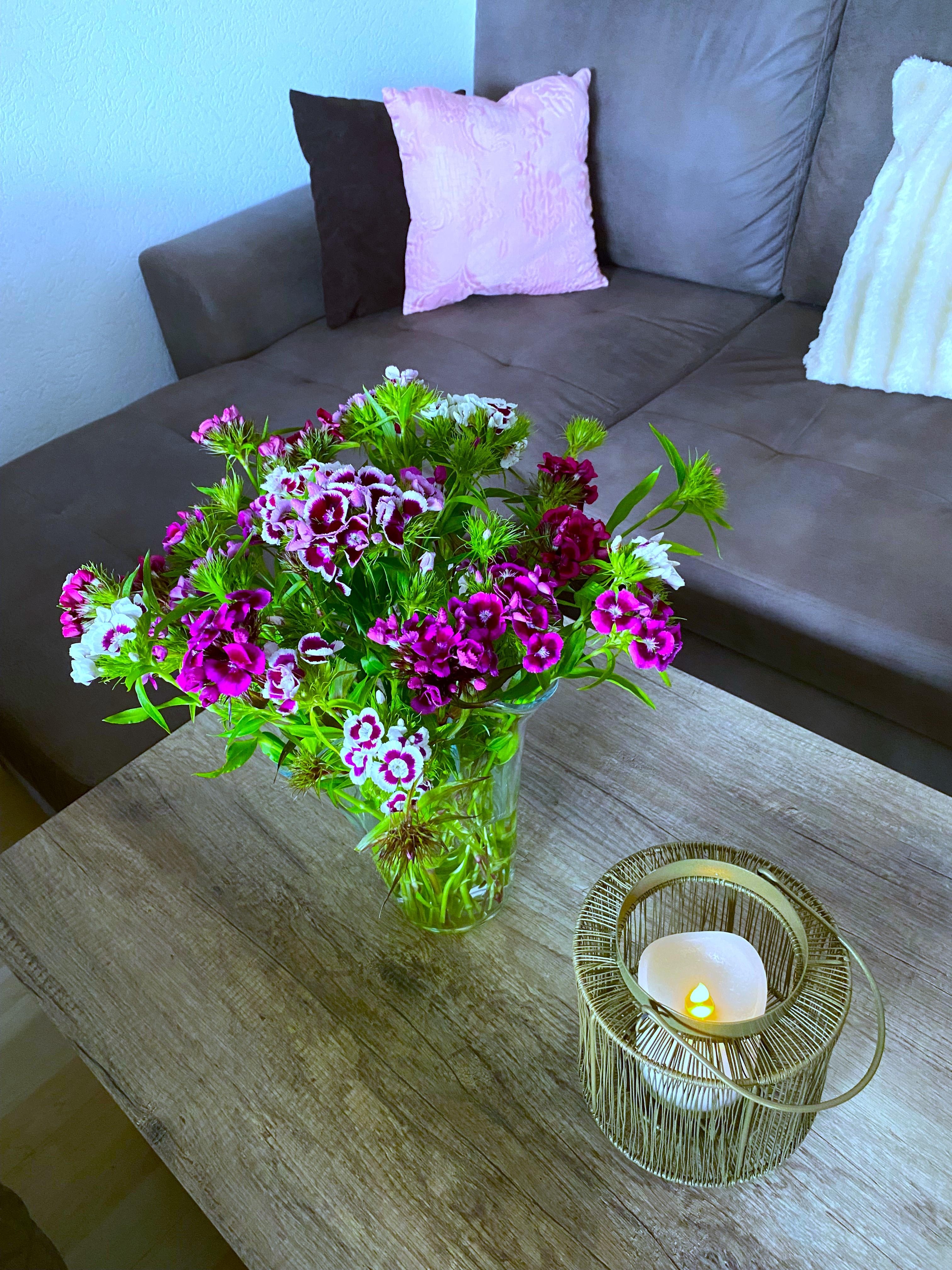 #bartnelken #bunt #frischblumen #garten #vase #wohnzimmer
Blumen aus dem Garten und sie halten bis zu 14 Tage in der Vase 
