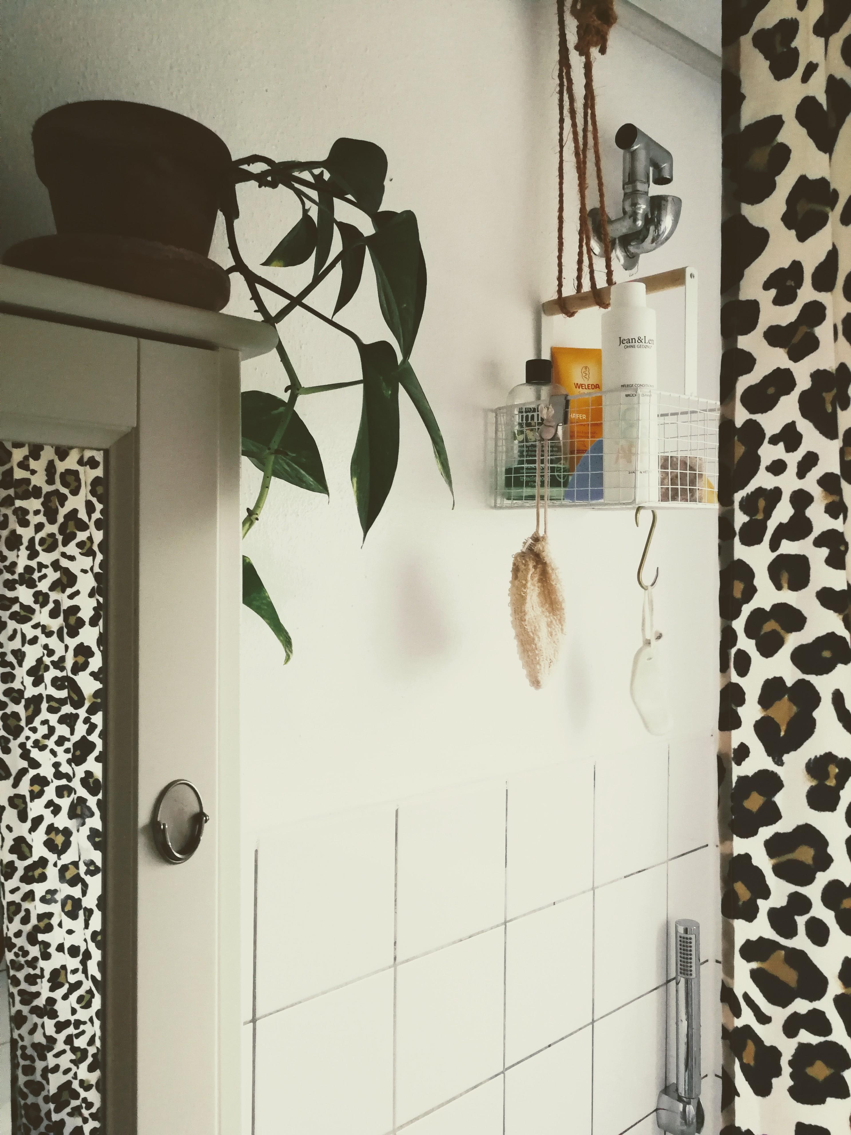 Bathroom 🌊

#badezimmer #diy #pflanzenliebe #sundays