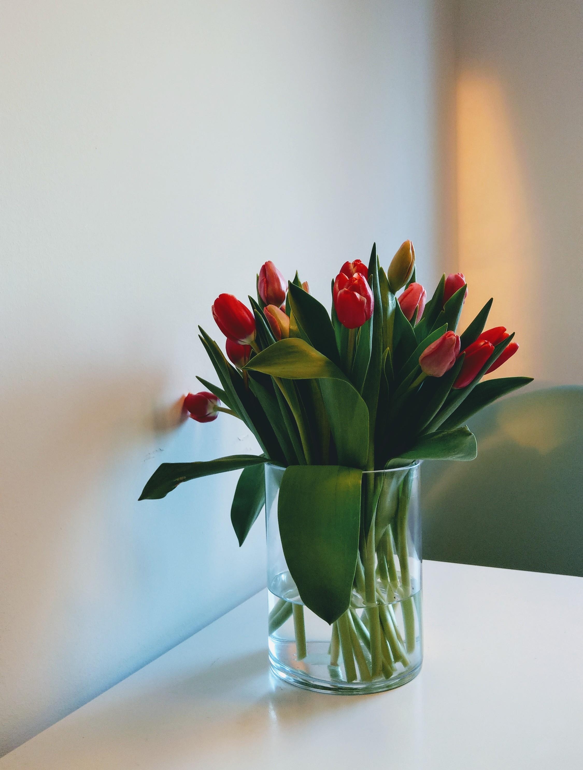 Be happy! #tulpen #sonnenstrahlen #livingchallenge #flowers  #freshflowerfriday