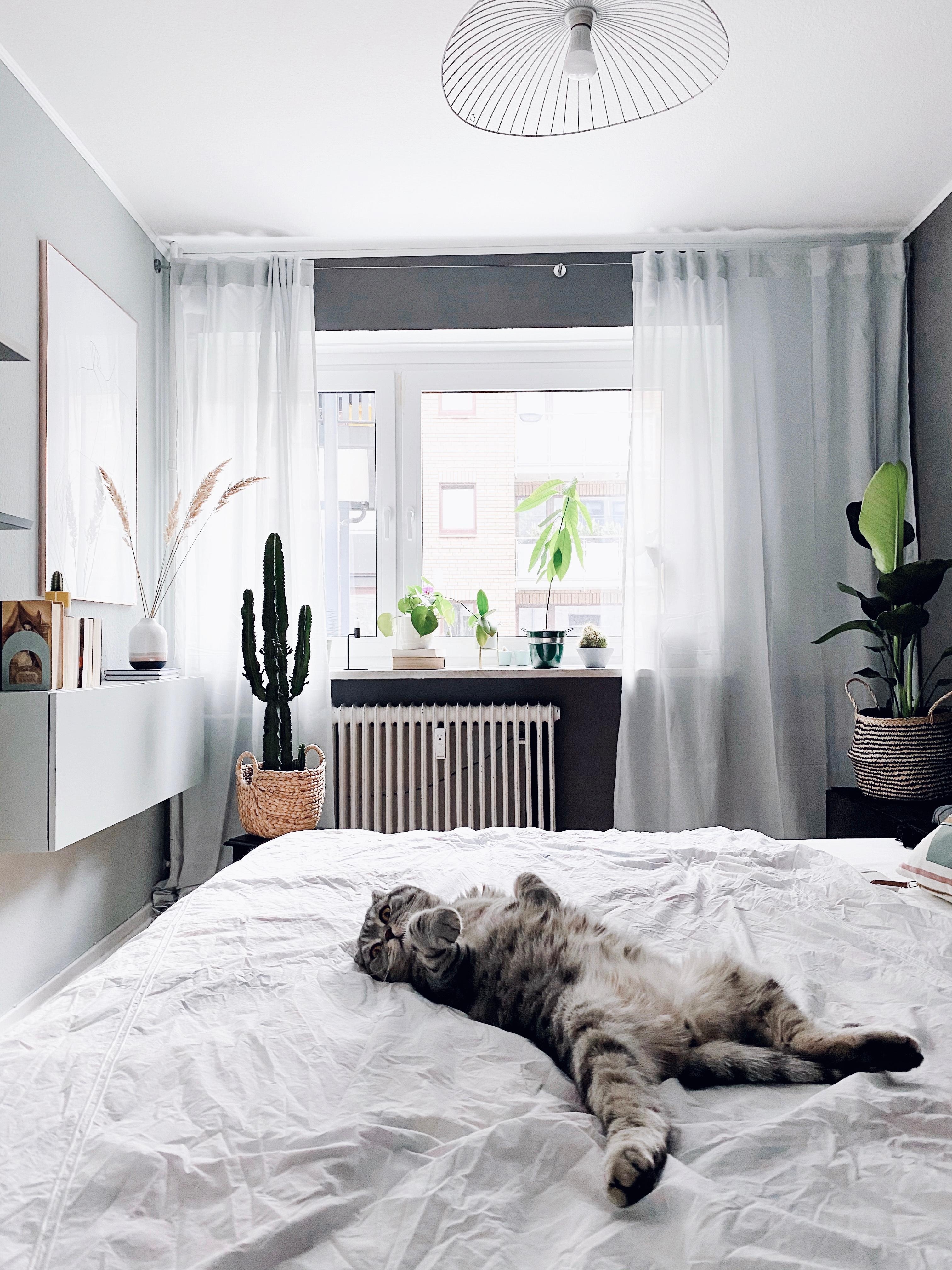 #bedroom #bedroominspo #monochrome #mynordicroom #interior #hygge #minimalism