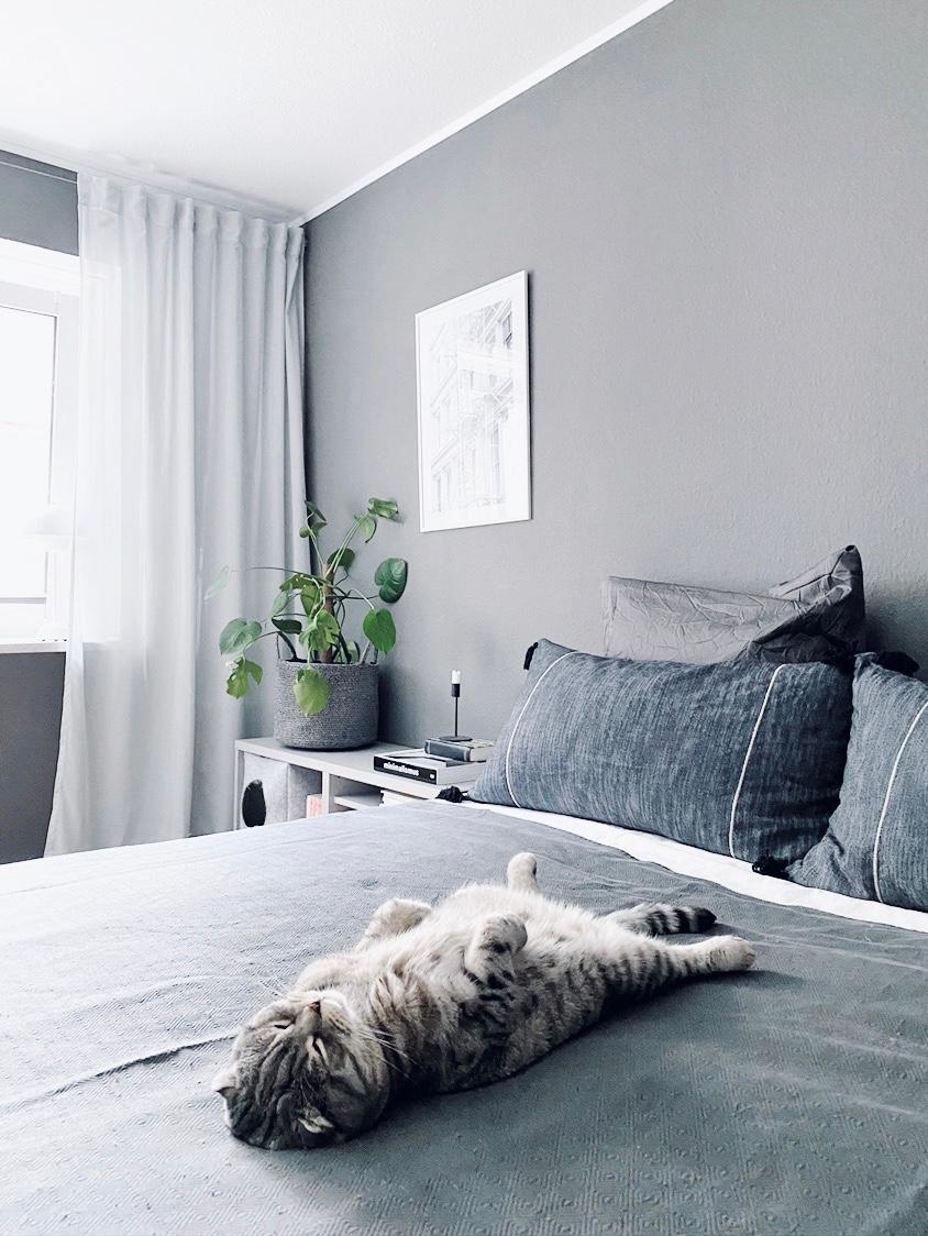 #bedroom #catlover #monochrome #minimalistic #hygge #nordichome