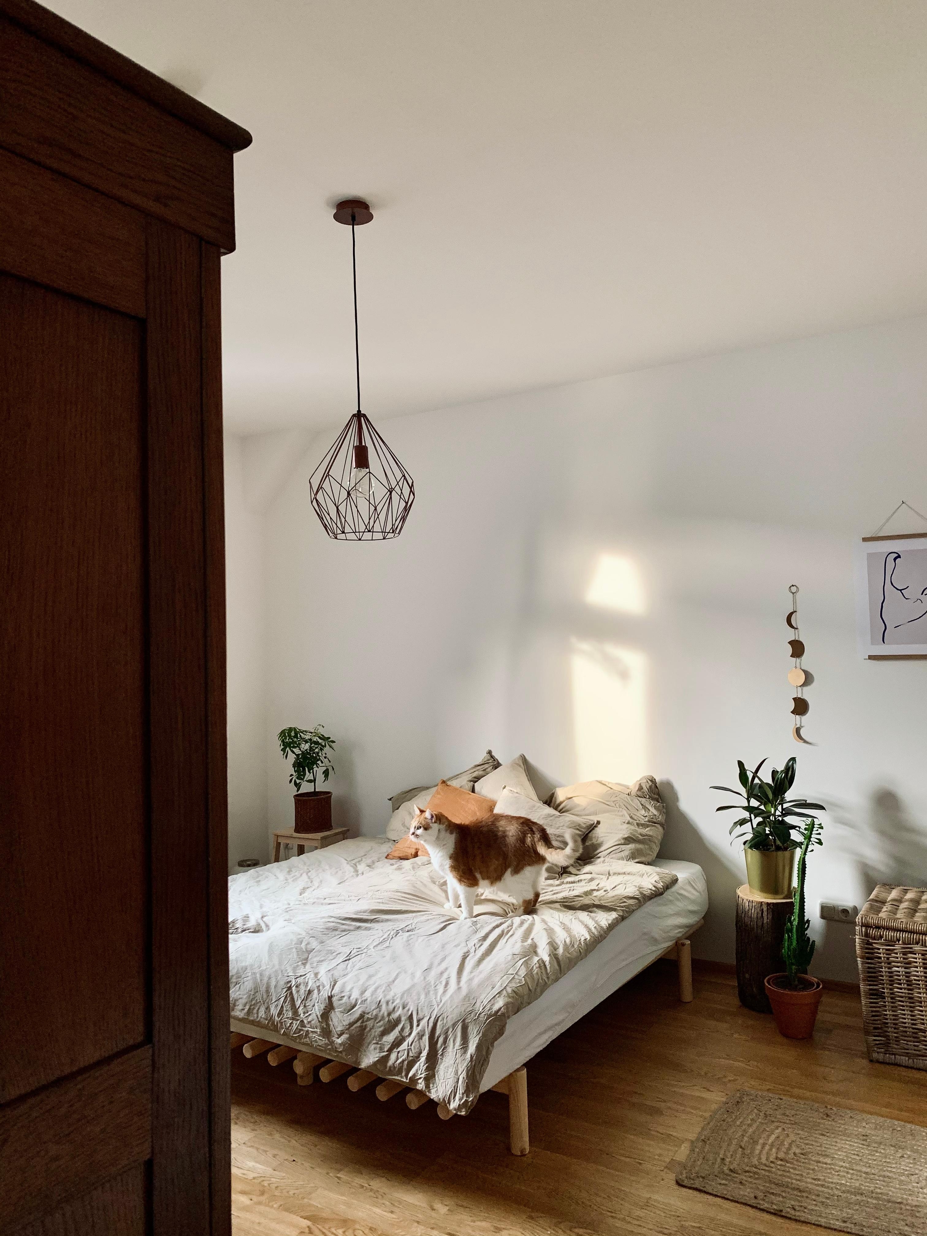 Bedroom vibes ✨

#bedroom#schlafzimmer#cozy#sonnenschein