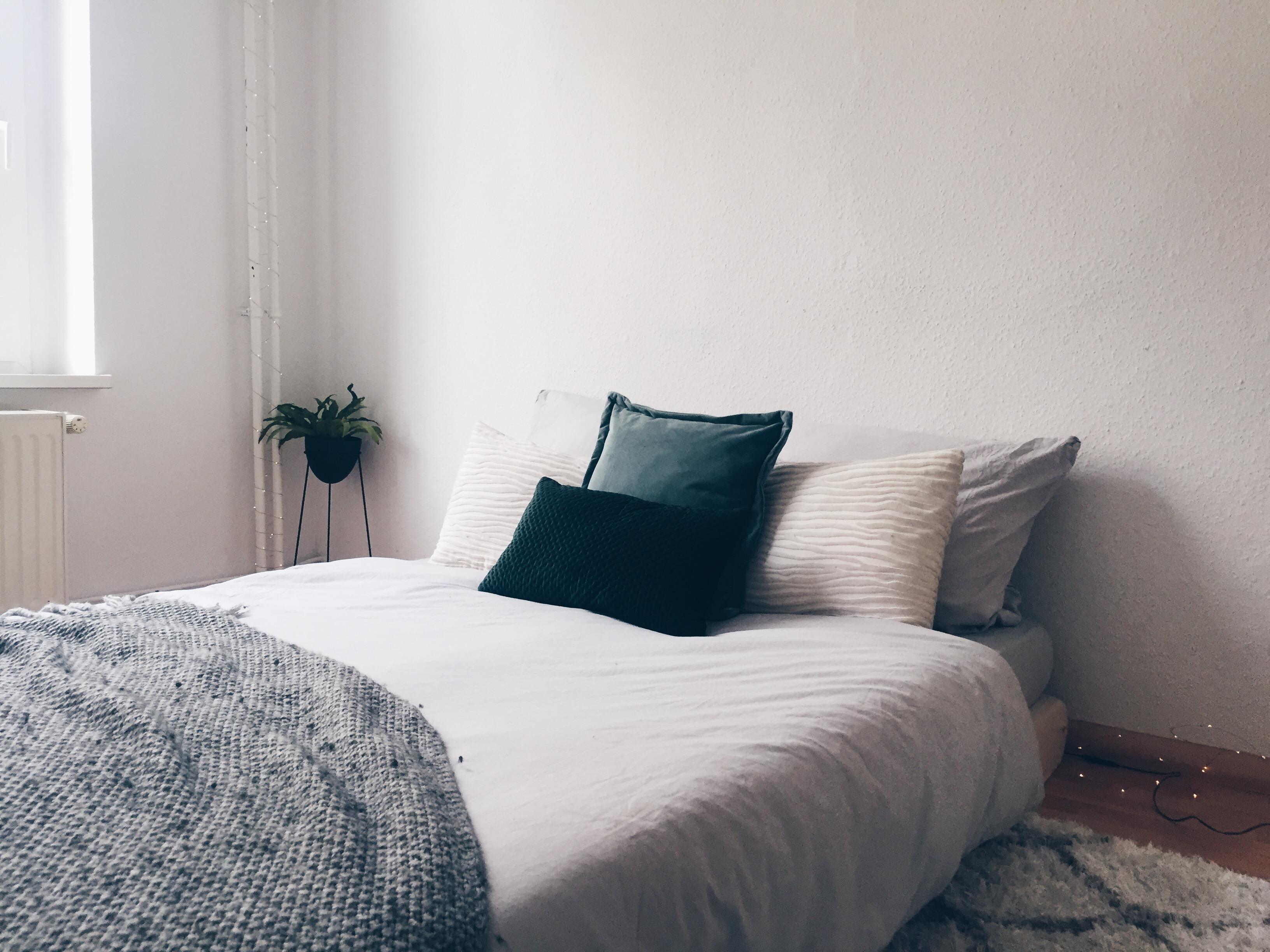 Bei zwei Fellnasen muss man eben, was den Platz betrifft, im Bett Kompromisse machen. 🐆 
#homestory #minimalism #bed