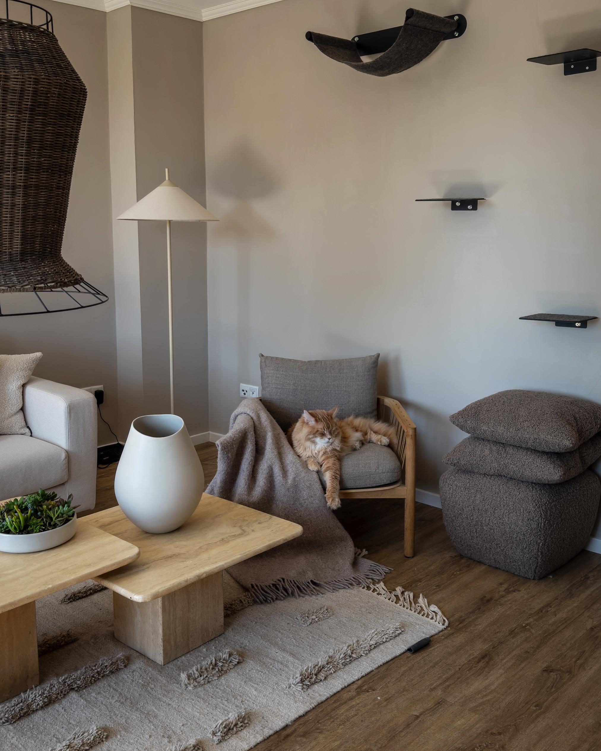#beige #katze #gemütlich #couchstyle #inspiration 