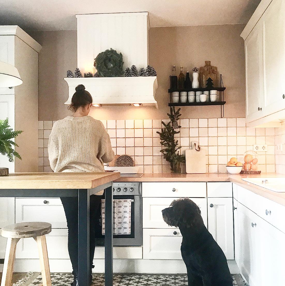 Beim Kochen immer unter Beobachtung 🐶 #küche #kochen #lebenmithund