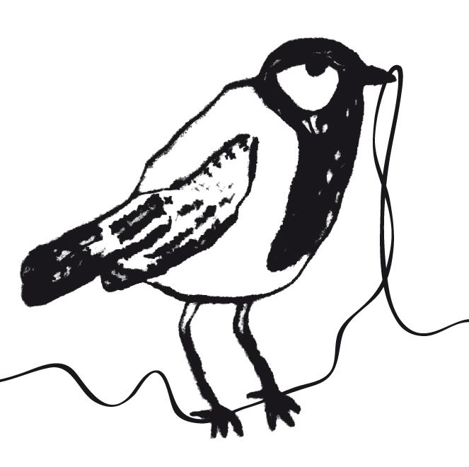 Bellybird