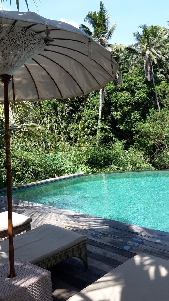 Bester Pool mitten im Jungel von Ubud #pool #ubud #bali #outdoor #sonnenschirm #pflanzen