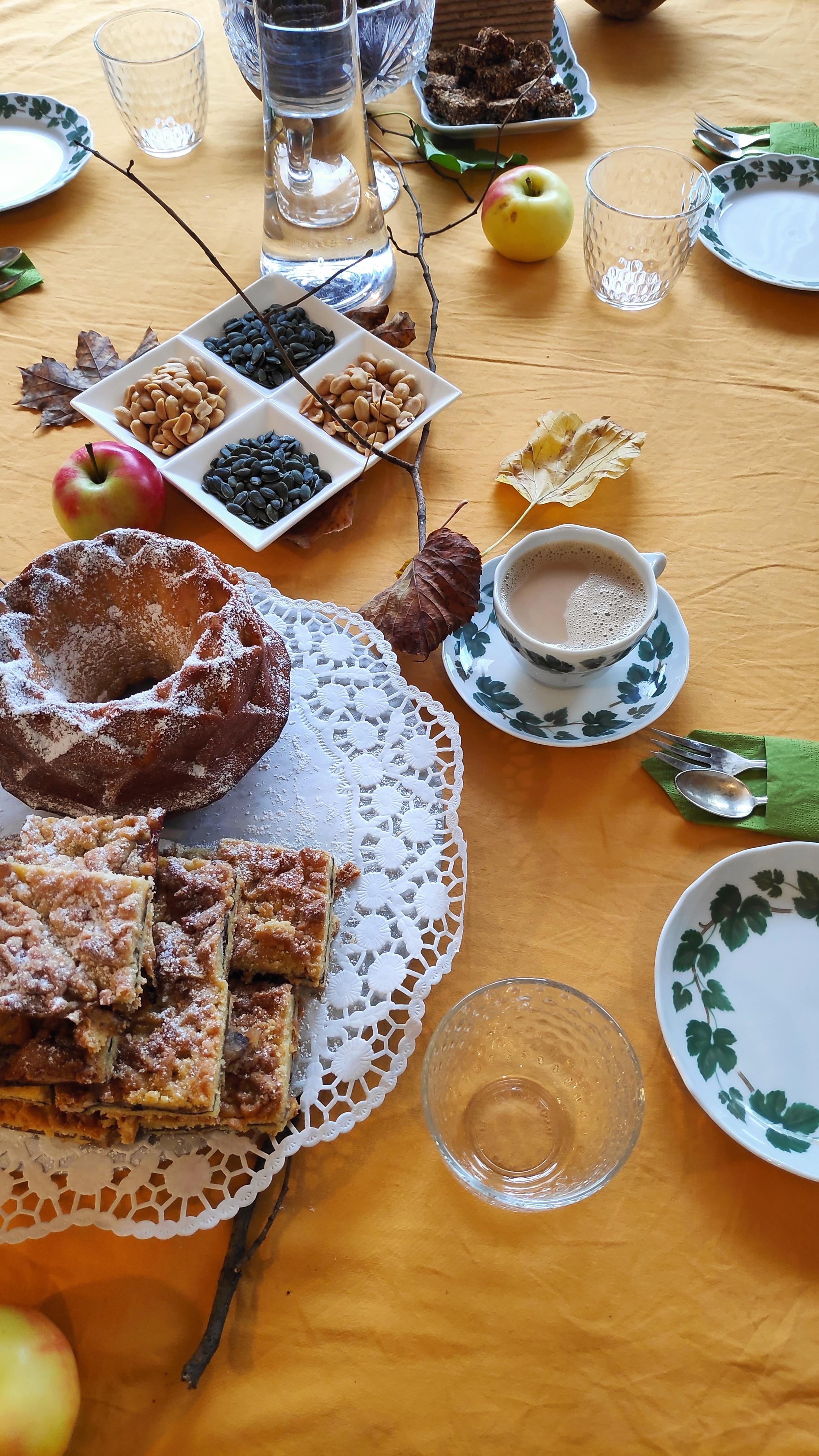 .Besuch.
#Gäste #Besuch #Herbstdeko #Tischdecken #Tisch #Kuchen #Apfel #Kaffee #Apfelkuchen #Eierlikörkuchen