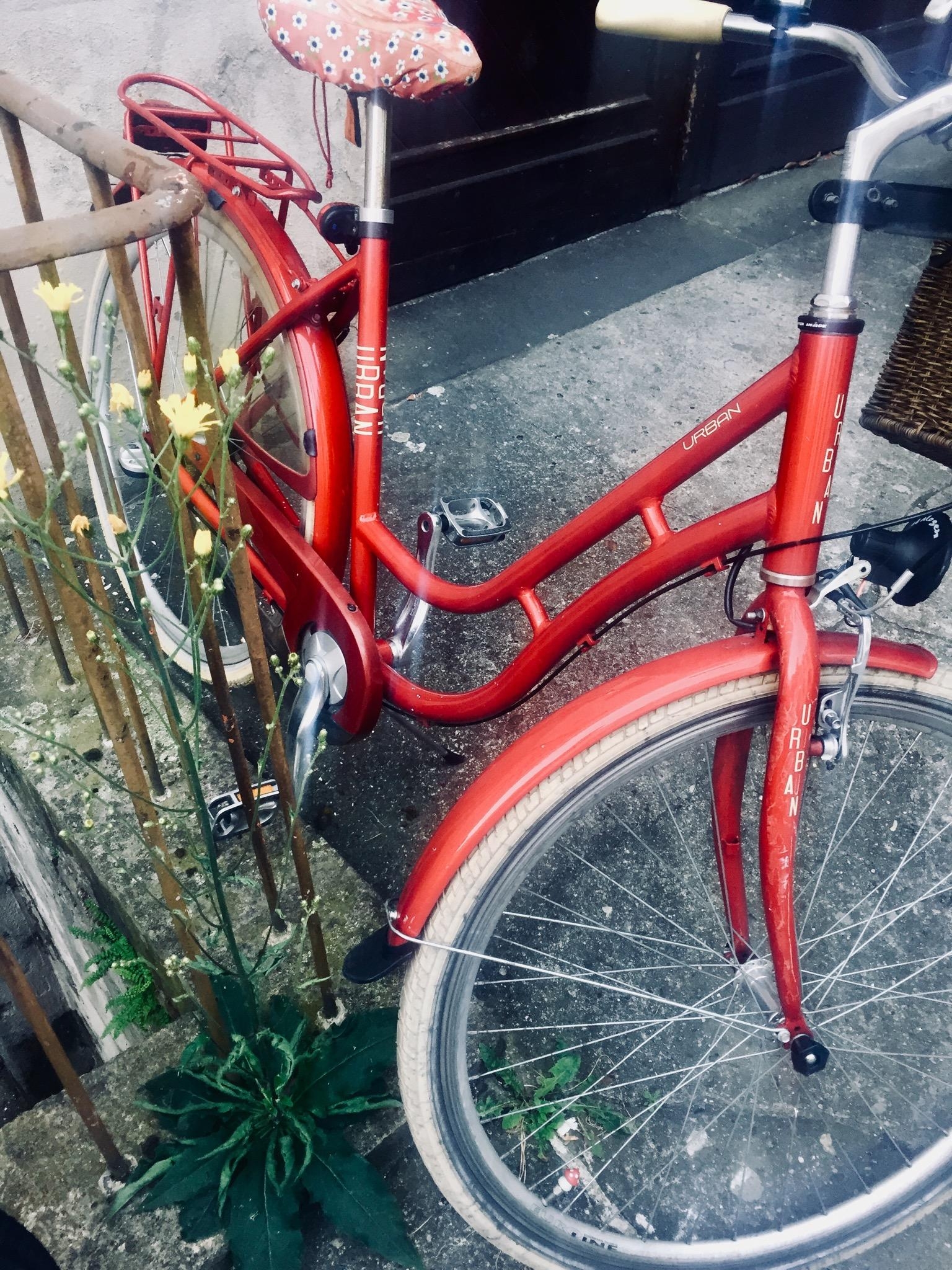 #bicycletime #cityvibes #summerinthecity 