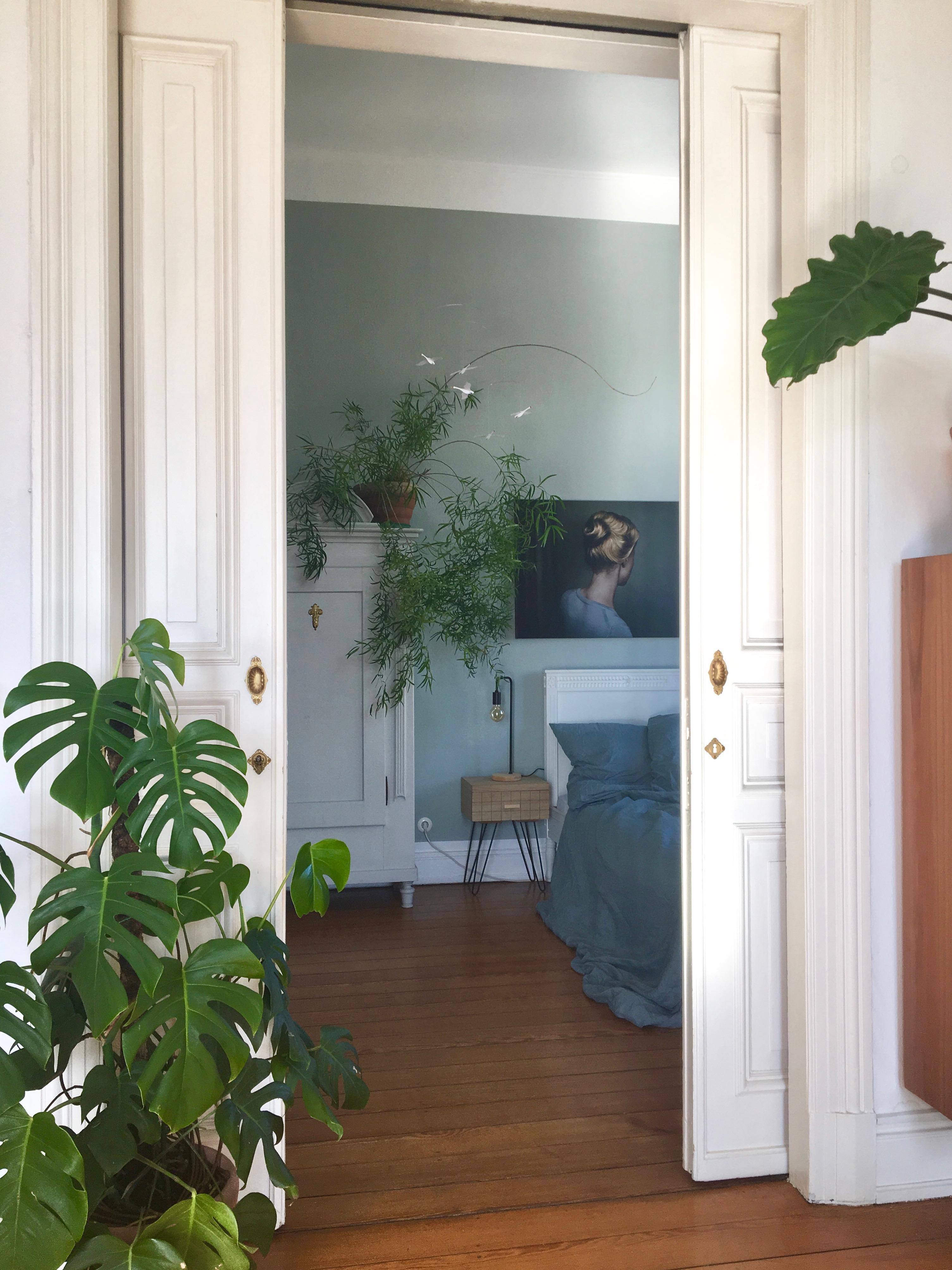 Big Plant Love 🌿🌱💚 
#bedroom #monstera #asparagus #billyandhells #alpinafeinefarben #midcentury