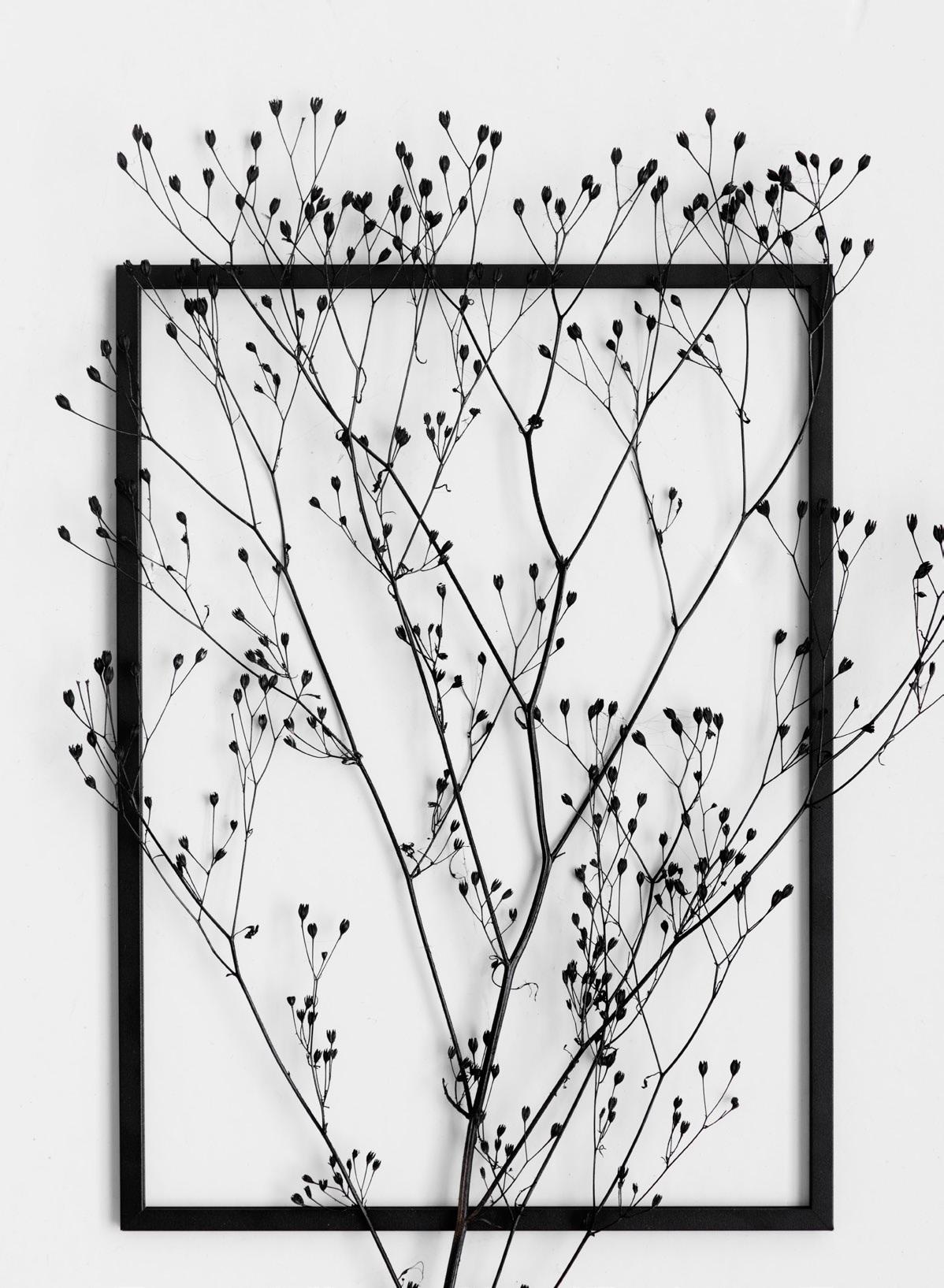 Bilderrahmen aus Aluminium - FRAME von Moebe #bilderrahmen #herbarium ©Moebe