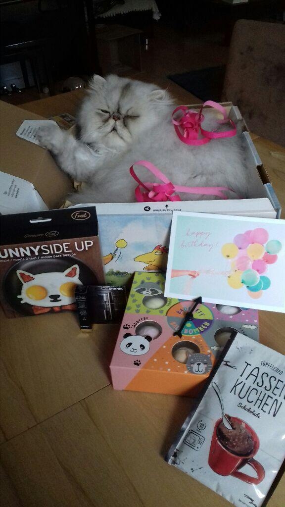 Birthday-Paket an liebe Person u. Katzenmama geschickt. Der leere Karton wurde direkt in Beschlag genommen 😻