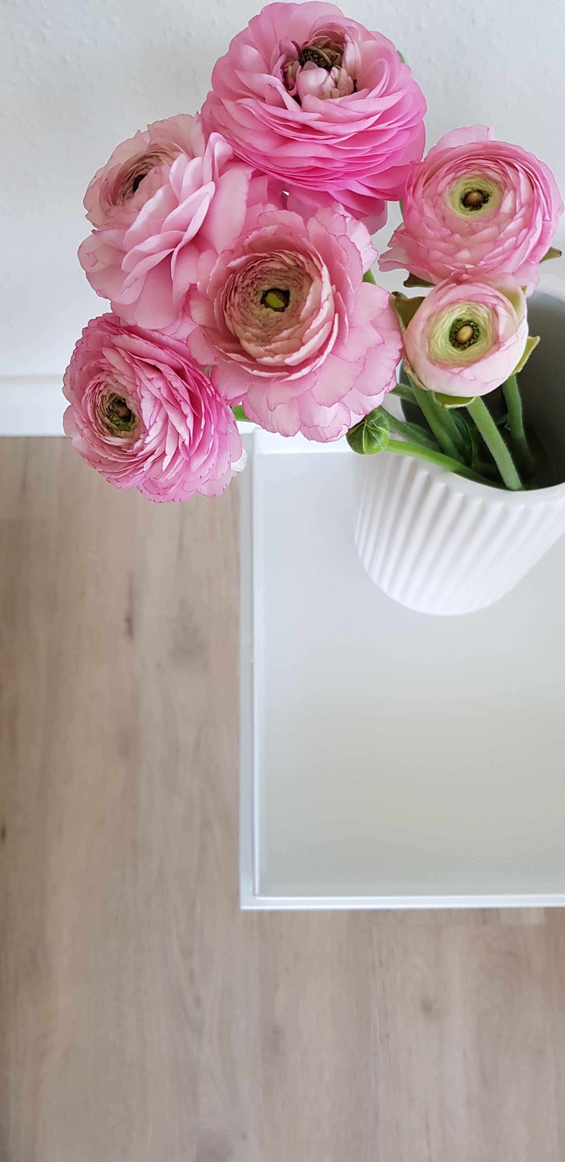 Bisschen Farbe...Zeit für Ranunkeln 🖤
#freshflowers #flowers #blumen #frühling #couchstyle 