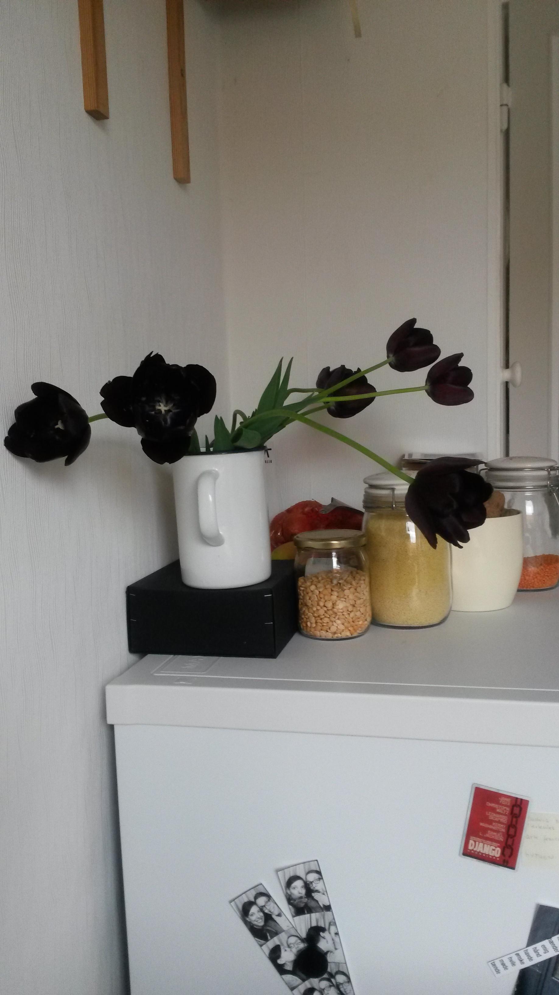 Black tulips on the fridge #küchendeko #livingchallenge