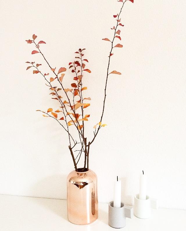 🍁Blätter statt Blumen 🍂
#herbst #deko #blätter #vase #ikea #kerzen #vondirinspiriert 