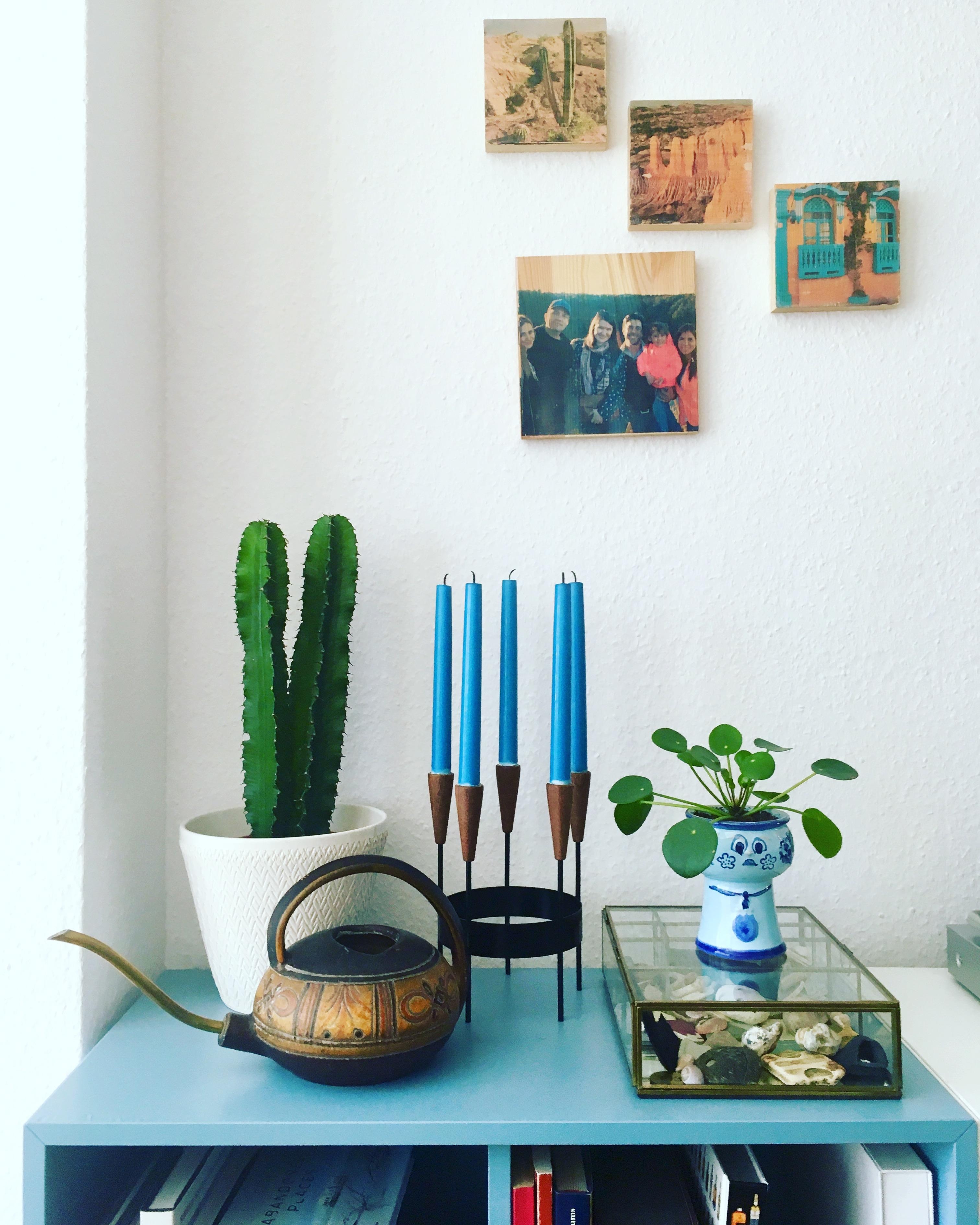 Blau, blau, blau ist meine ganze Deko...
#vintage #retro #pflanzenliebe #wohnzimmer