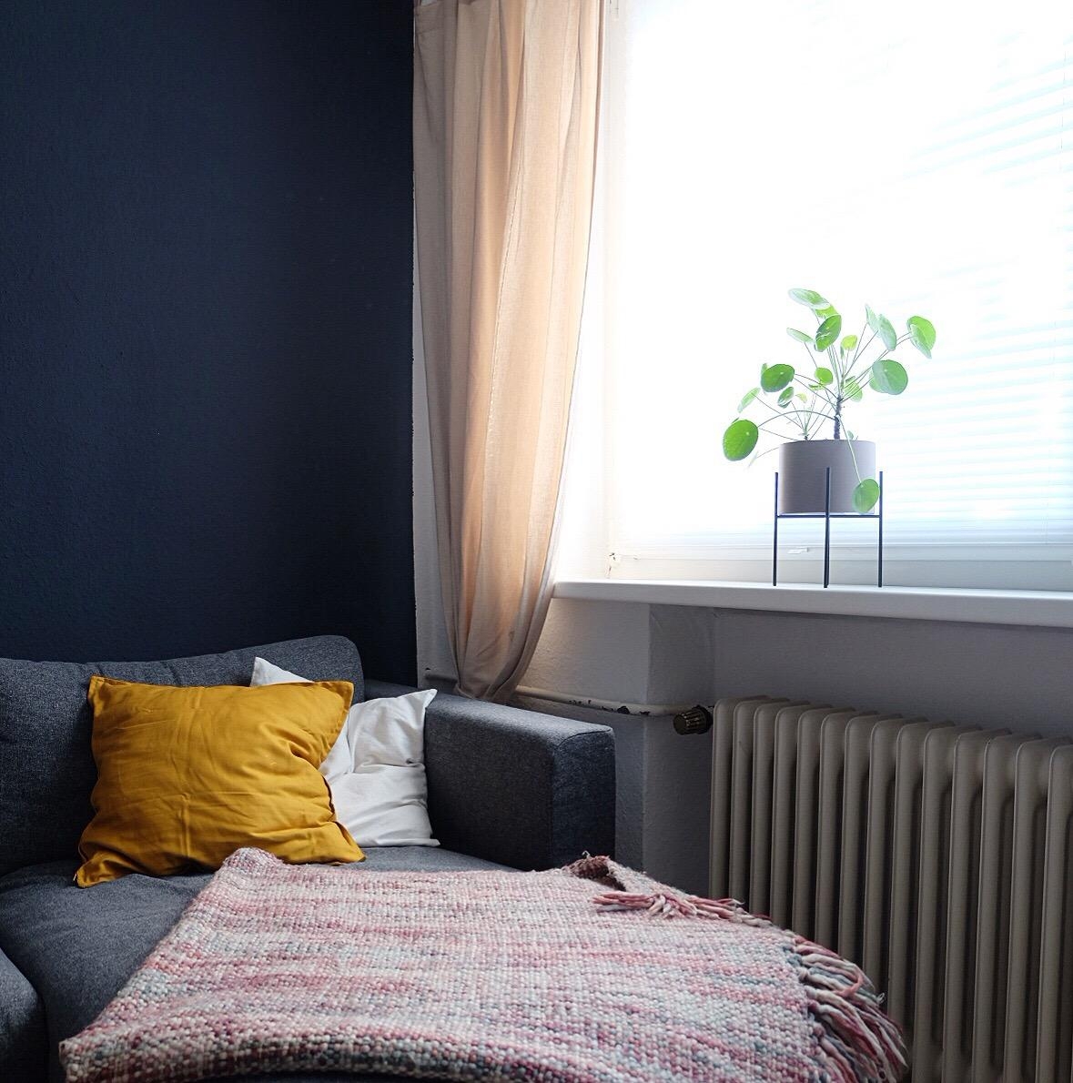 Blaue Wand + senfgelbe Kissen = 💕
#Wohnzimmer #couchliebt #architectsfinest #belem #schönerwohnenfarbe 