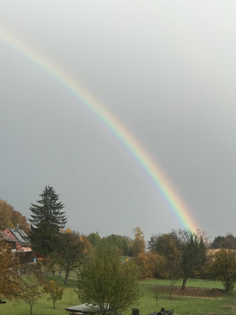 Blick aus dem Fenster