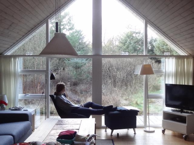 Blick die schöne Landschaft Skandinaviens.
#skandinavien #hygge #livingroom