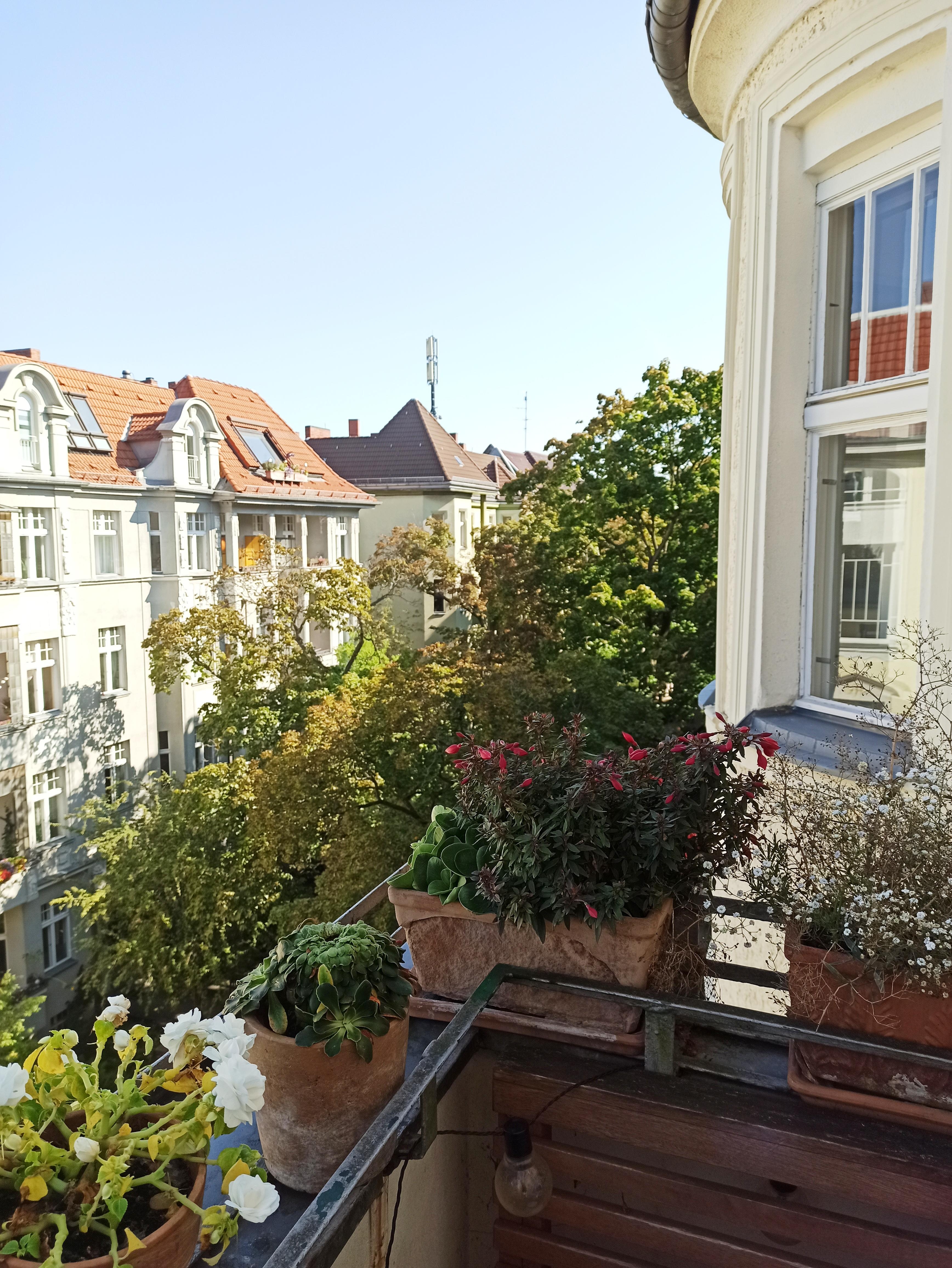 Blick vom Balkon #balkon #stadtleben