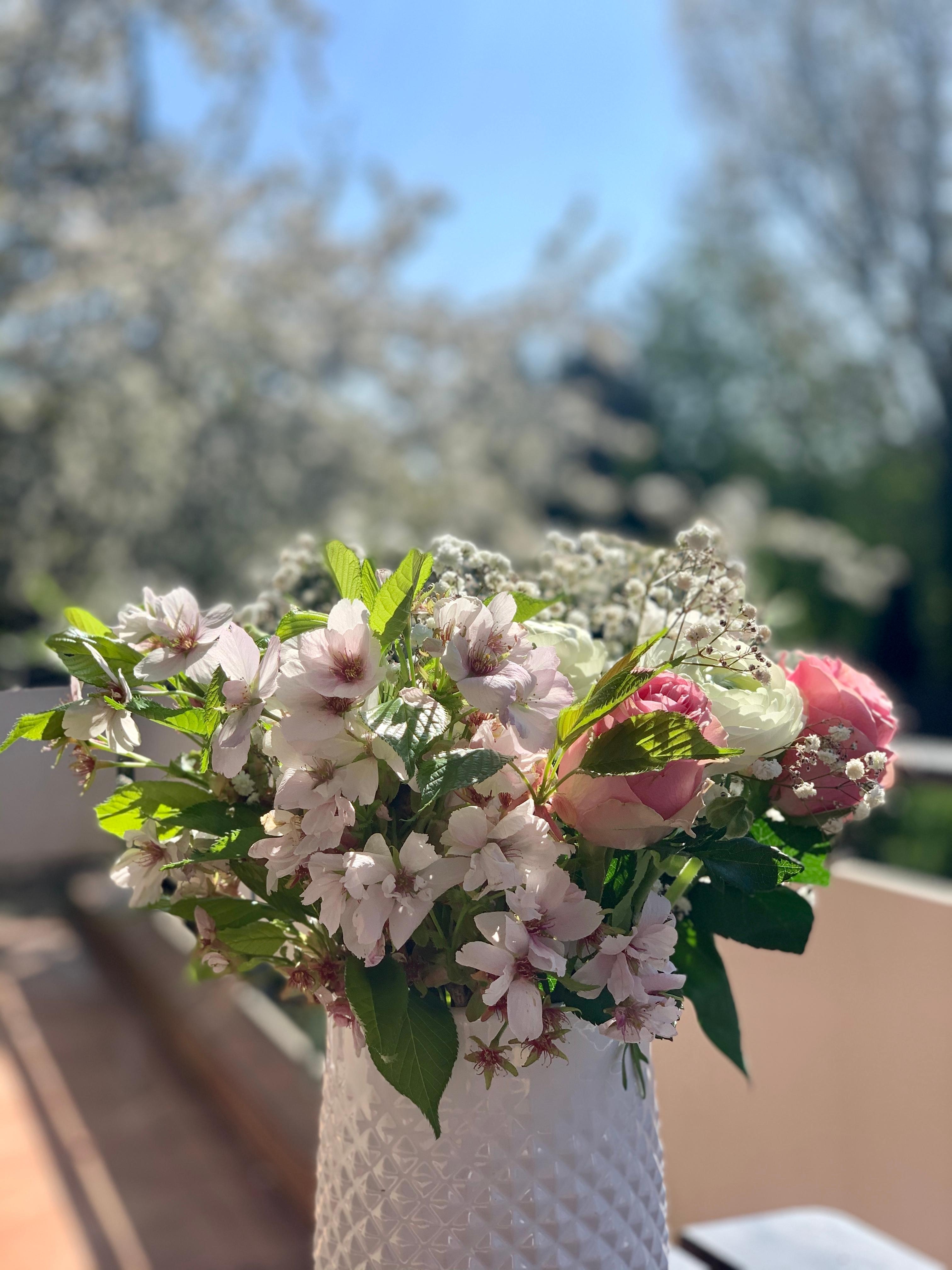Blüten über Blüten, die Natur in die Vase geholt.🌸🌸 #freshflowers #frühlingsblumen #frühling #blumenstrauß
