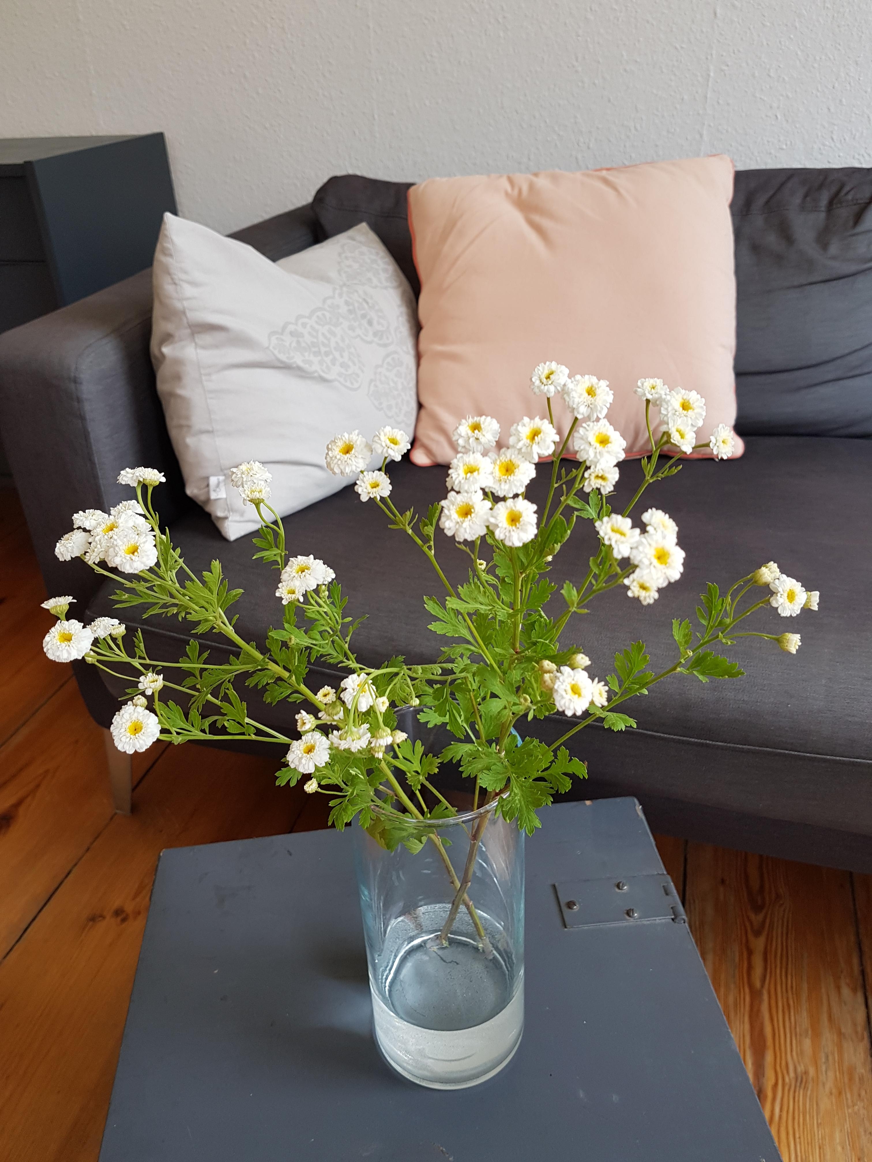 Blütenzauber für zu Hause #blumenliebe #Blumen #pfingsten #Wohnzimmer 