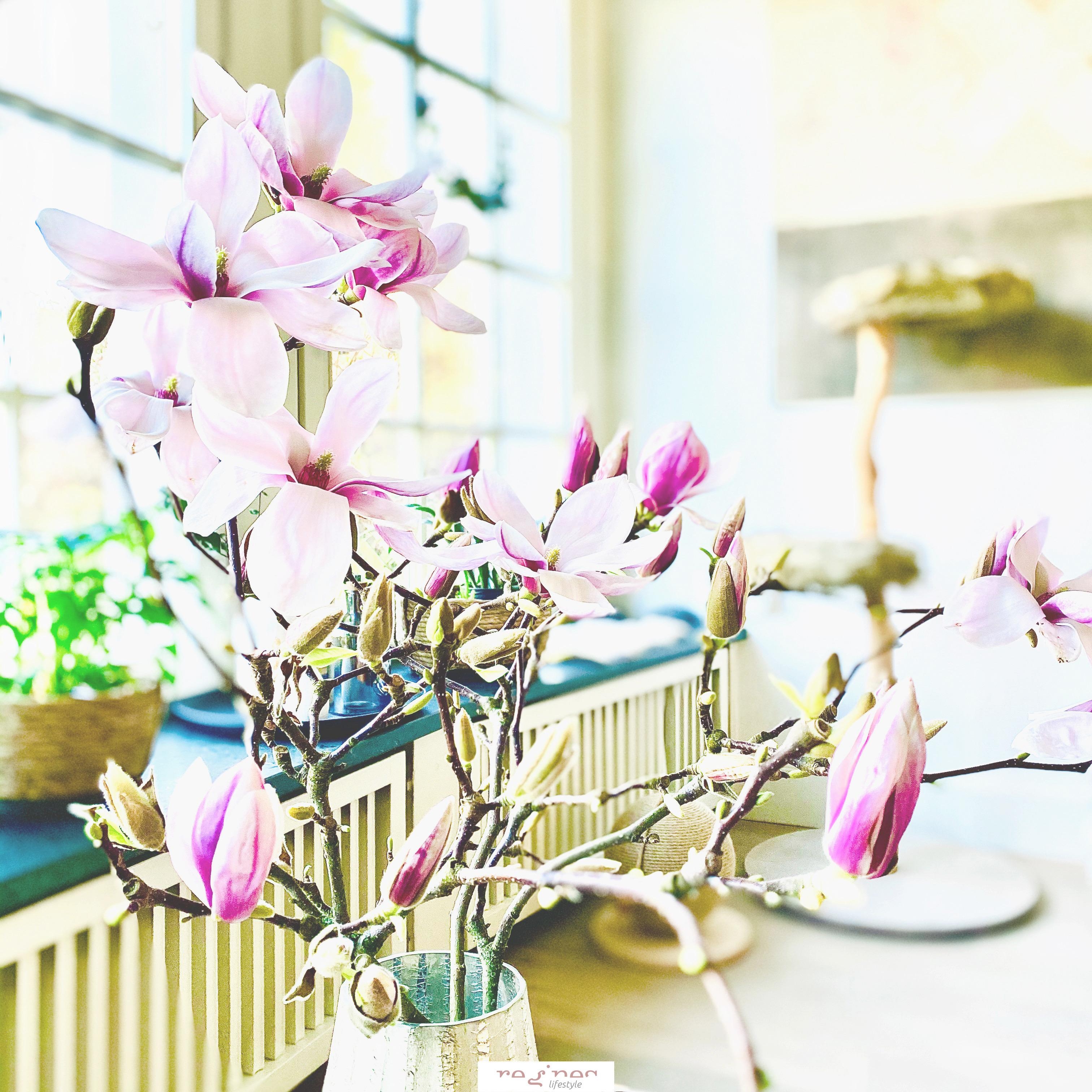 Blütenzauber 
#magnolie #blumenliebe #frühling #scandistyle #livingroom #flowers #magnolia #pink 