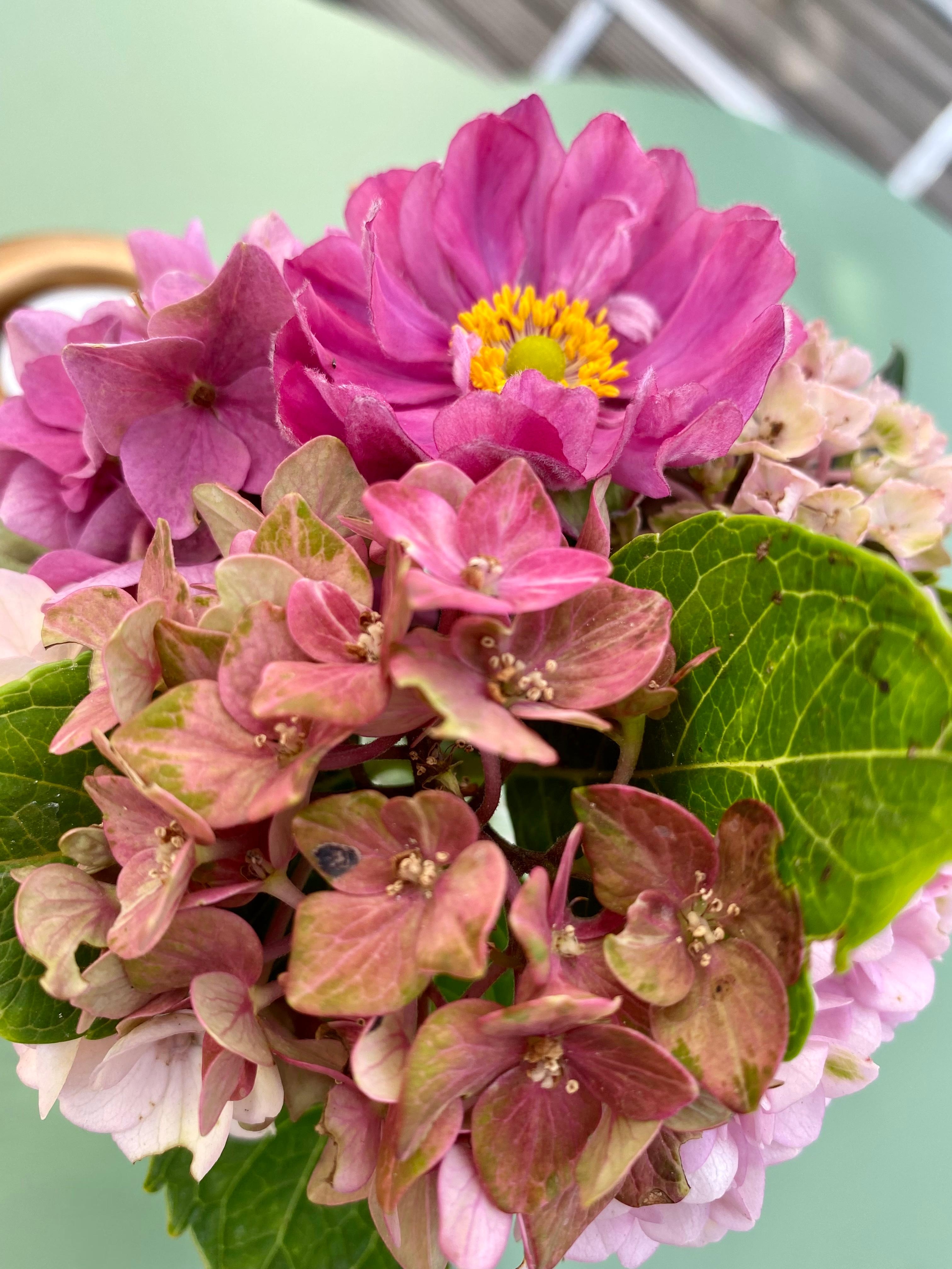 Blumen aus dem eigenen 
Garten 🌸 🌷 #pflanzenliebe #blumenstrauß #hortensien 